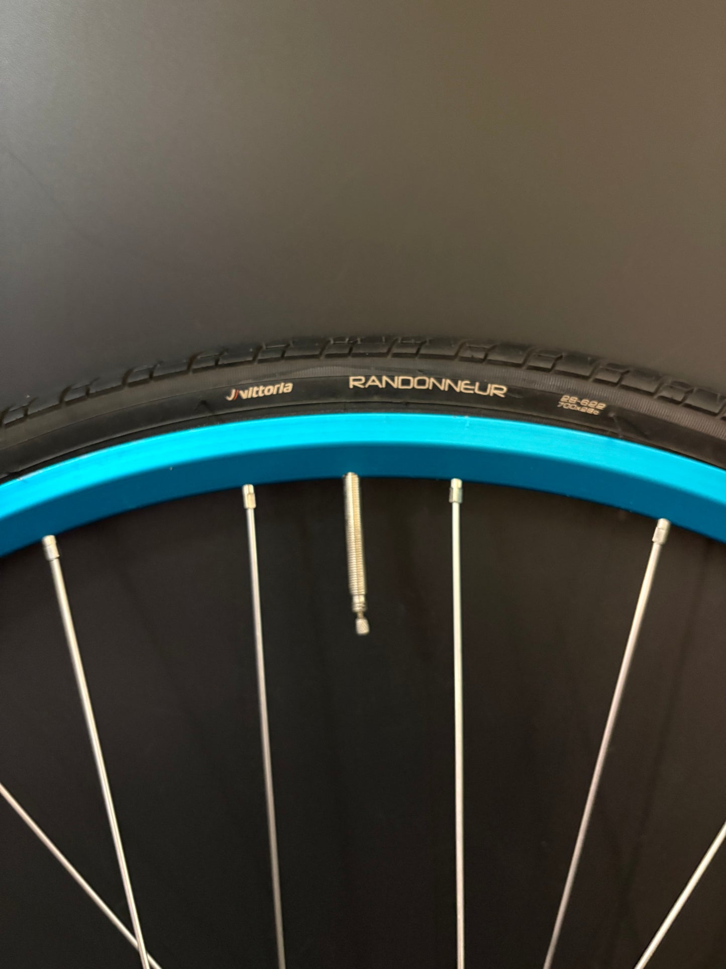 Velocity A23 Turquoise + Pink / Mash SF x Phil Wood Wheelset 28h