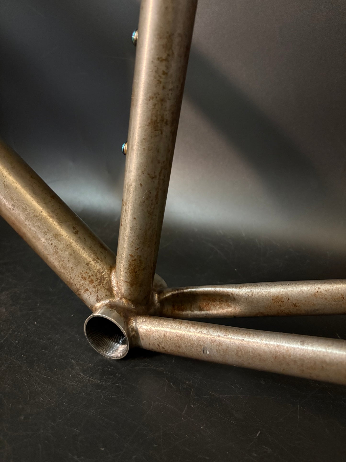 Affinity x Terry B Prototype Frameset Raw M