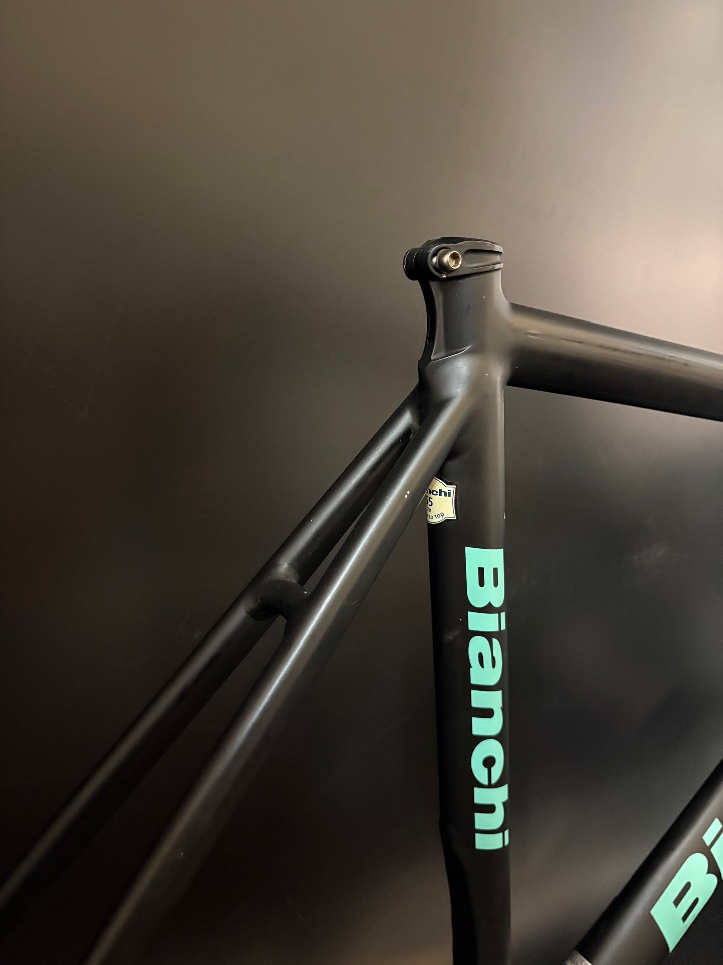 CRACKED Bianchi Pista Concept 2003 Frameset Black 55cm