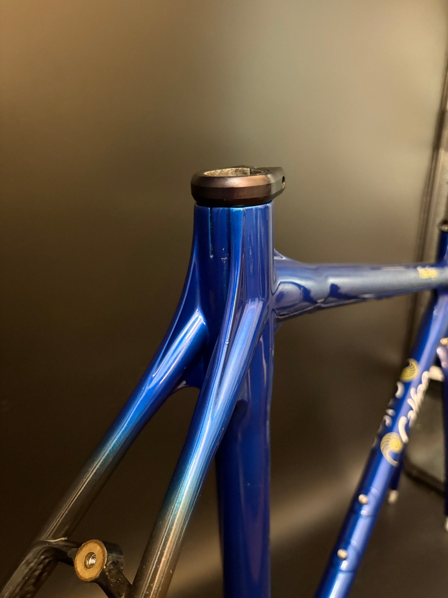 Calfee Pista Roya Carbon Frameset Blue 56cm