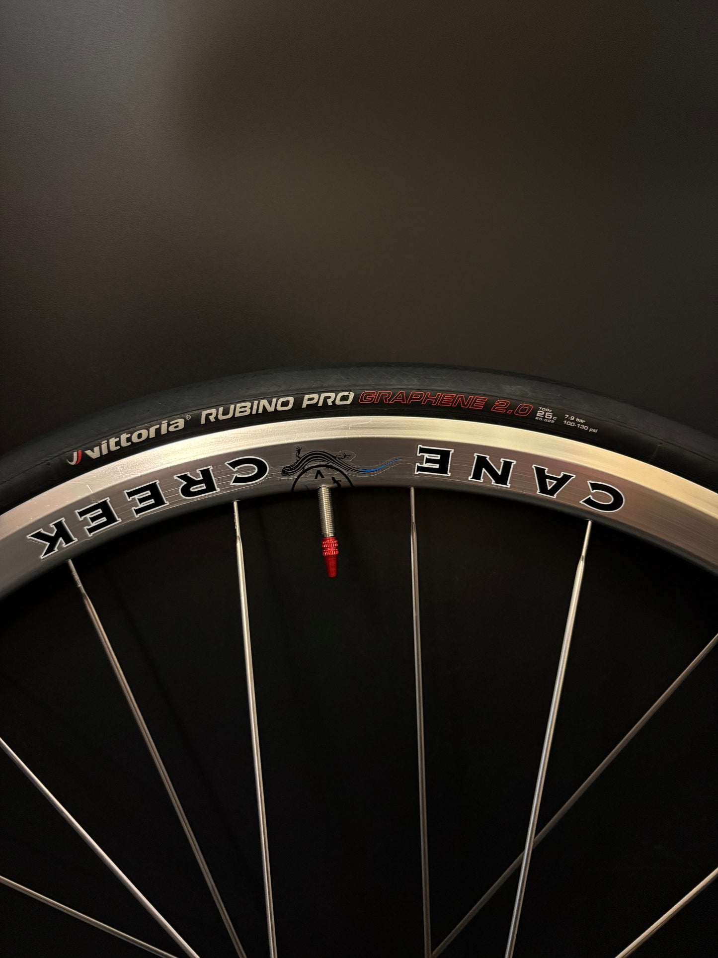 Cane Creek Wheelset Silver 24/28h