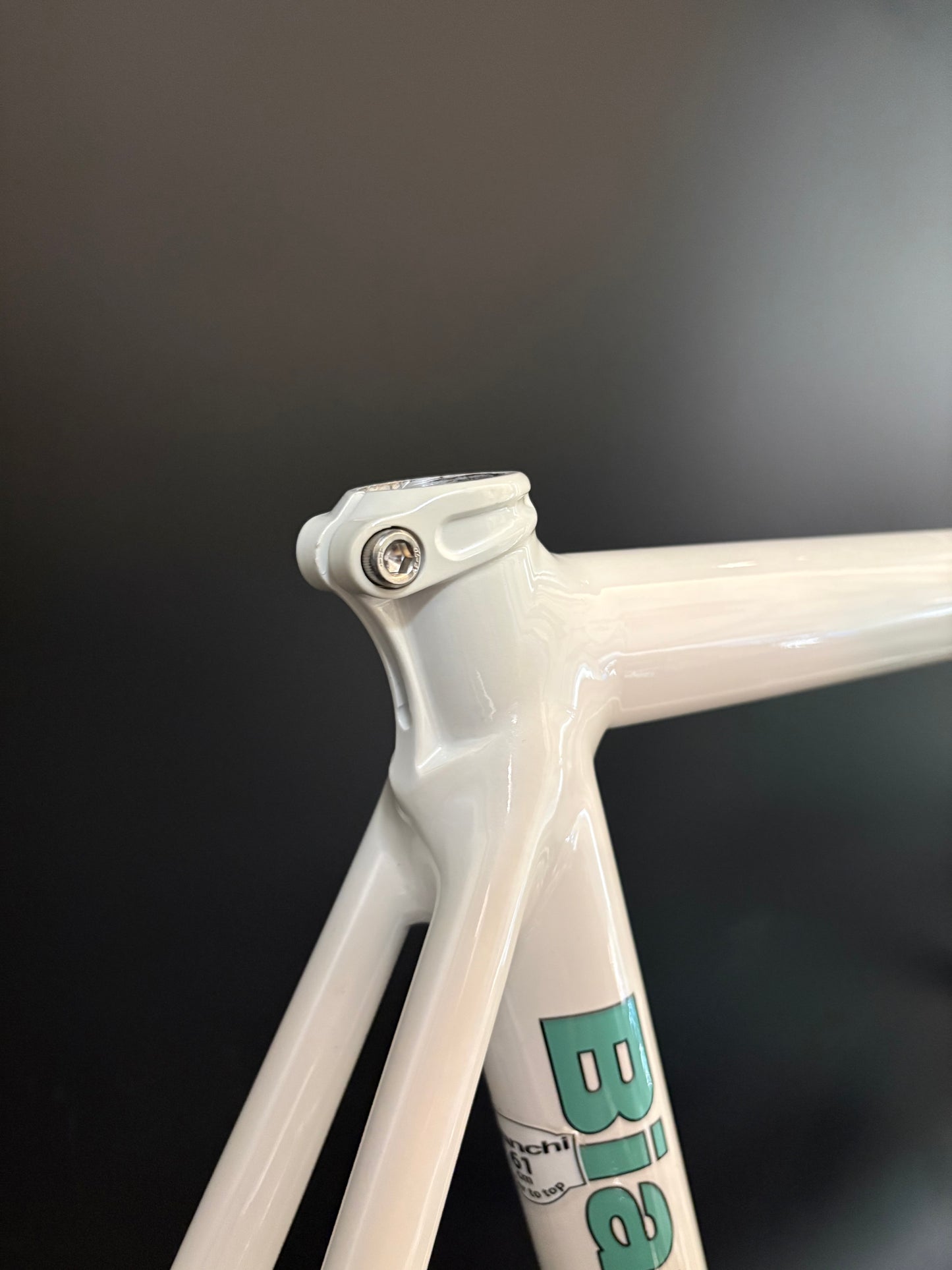 NOS Bianchi Pista Concept 2008 Frameset White 61cm