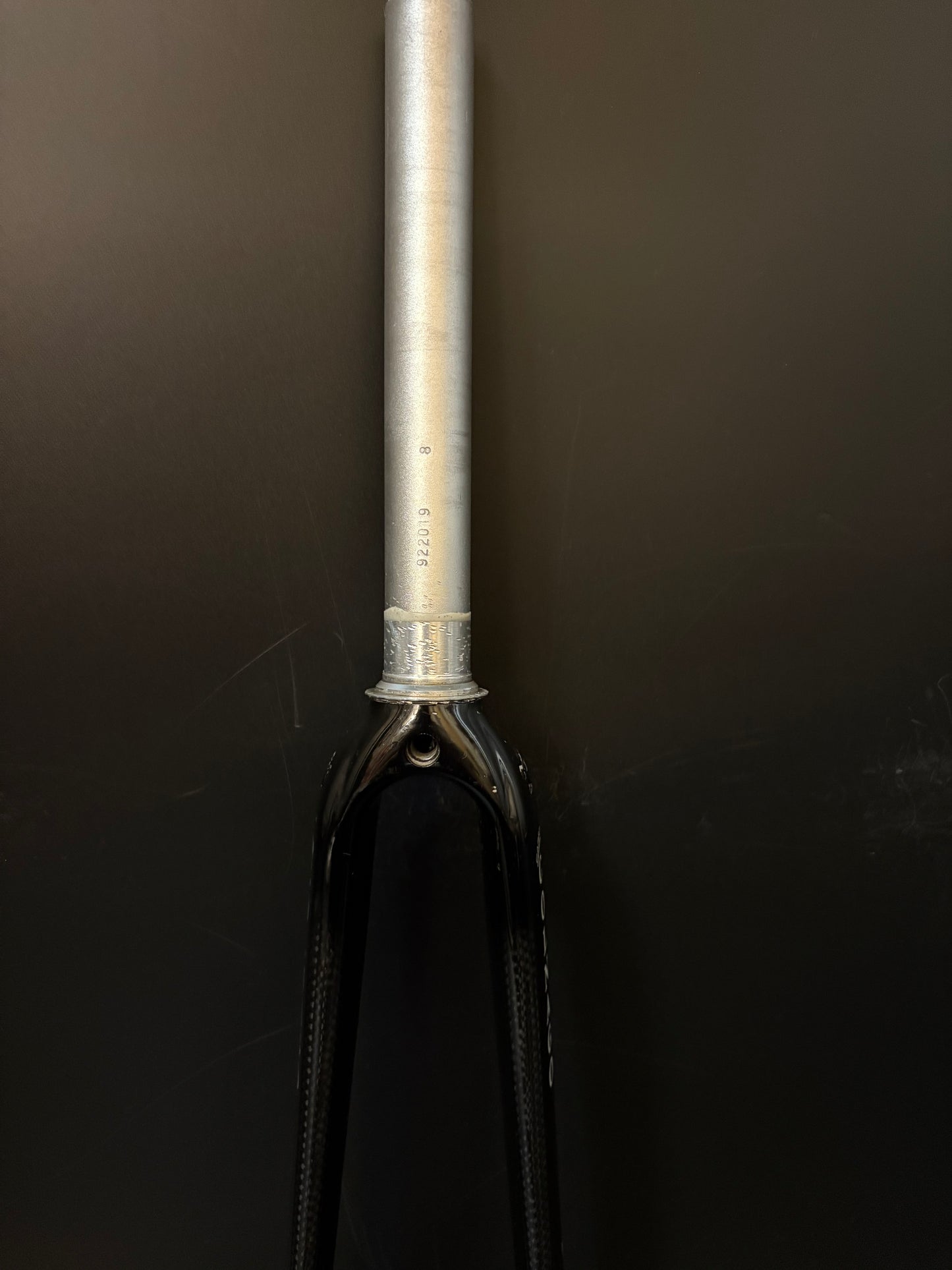 Colnago Fork Carbon 1 1/8 220mm