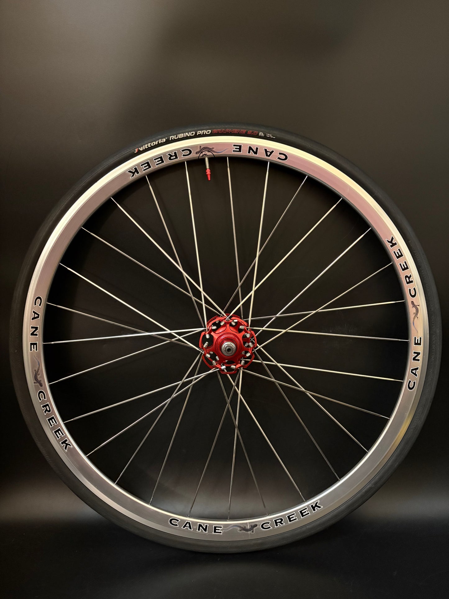 Cane Creek Wheelset Silver 24/28h