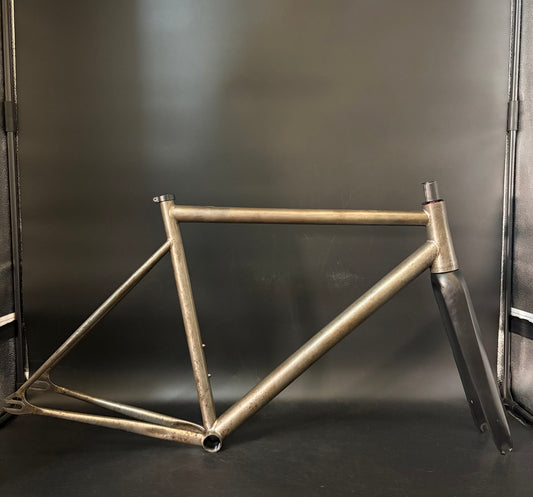 Affinity x Terry B Prototype Frameset Raw M