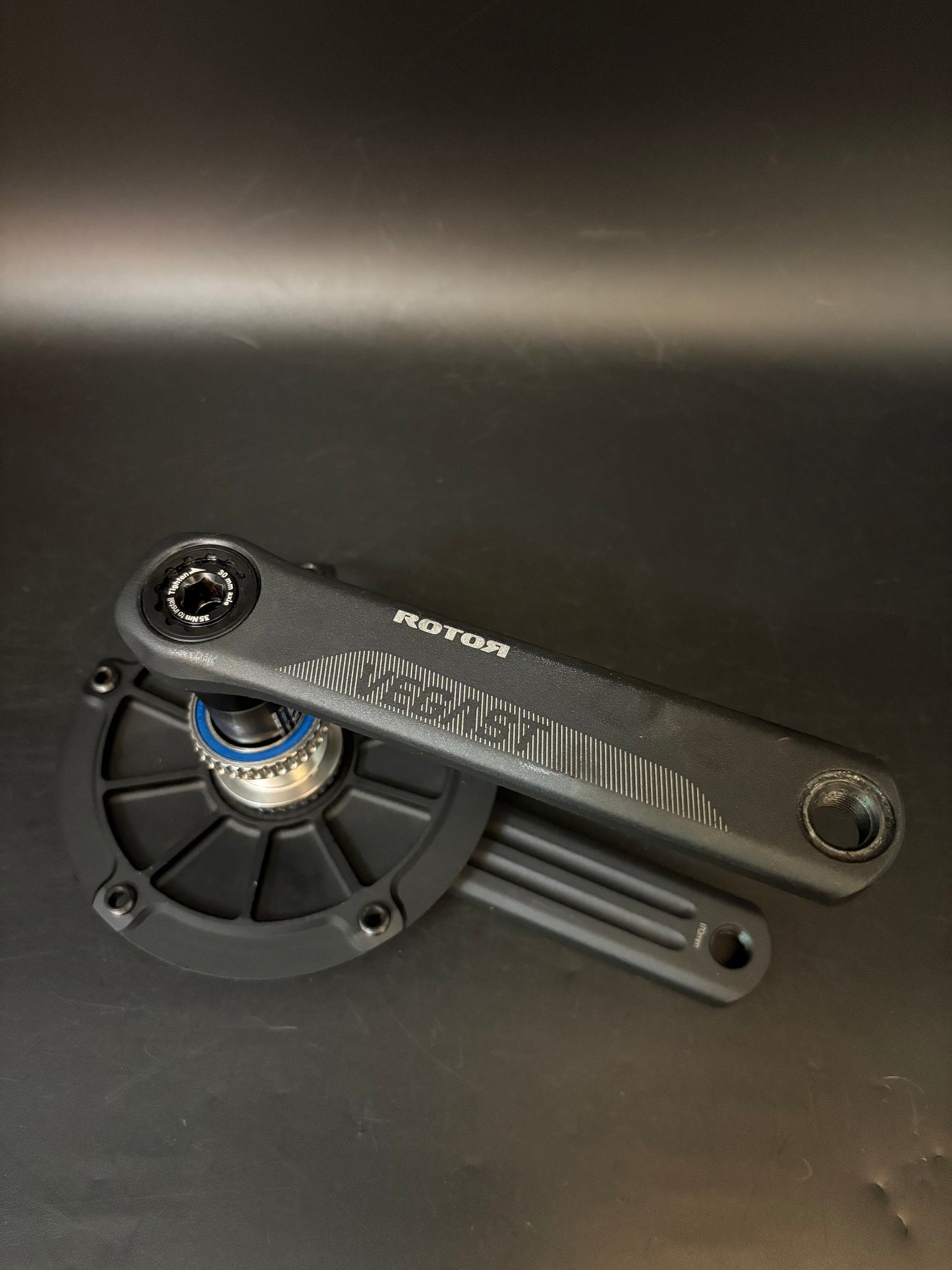 Rotor Vegast Cranks Black 170mm