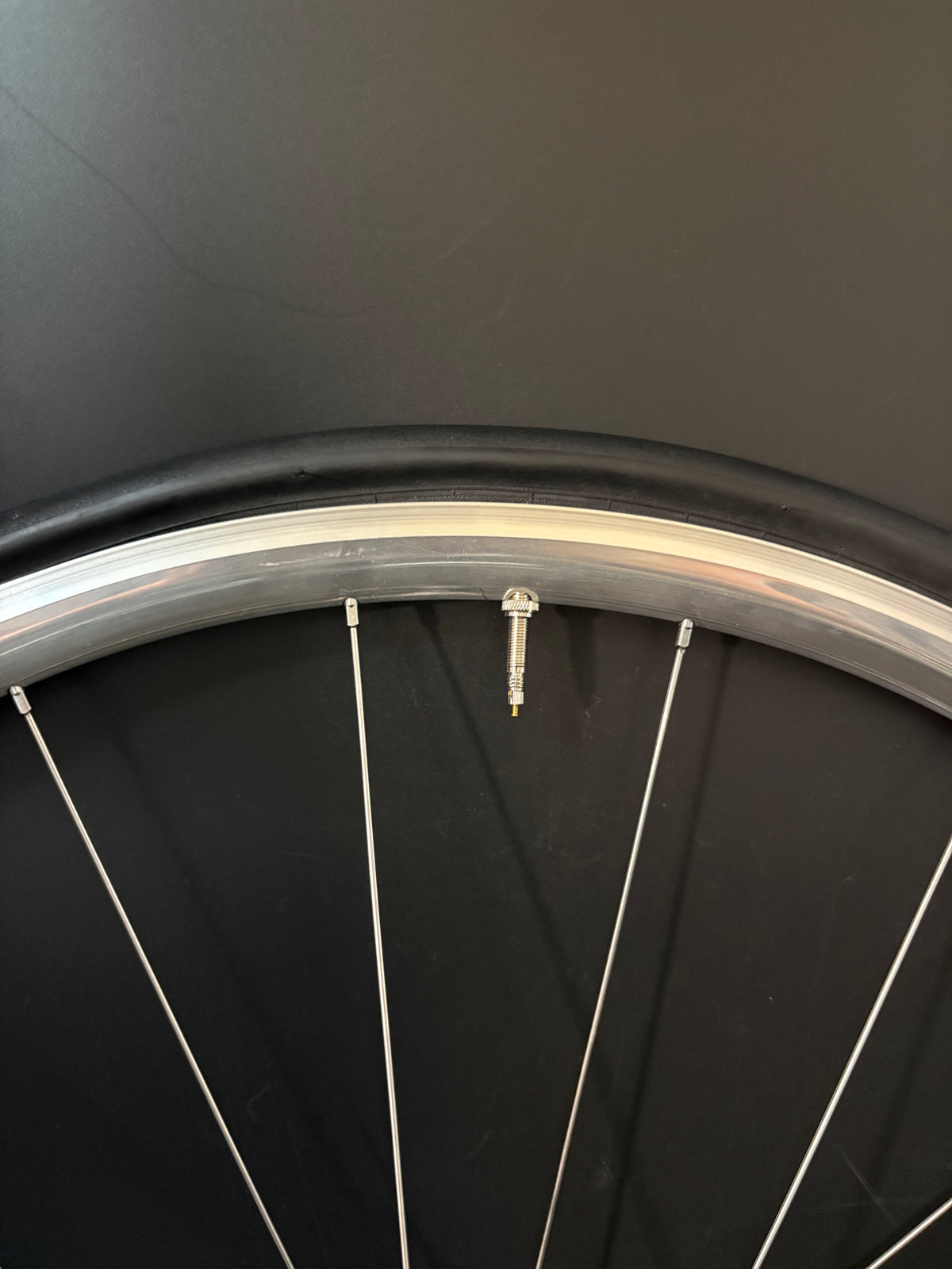 H Plus Son Archetype Silver / DT Swiss Wheelset 20/24h