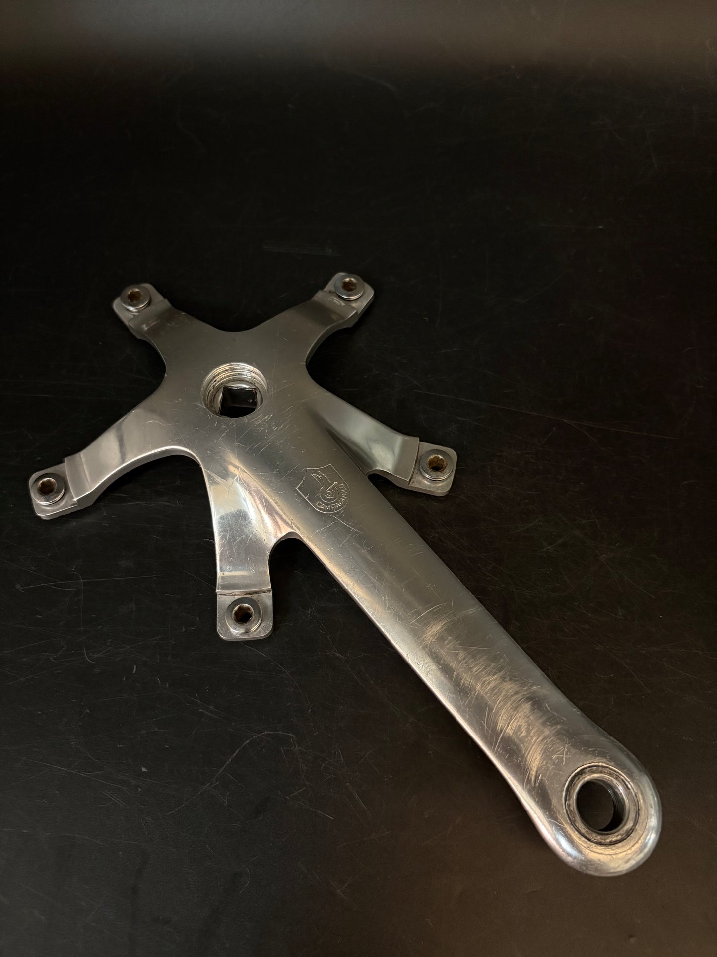 Campagnolo Record Pista Cranks Silver 167.5mm
