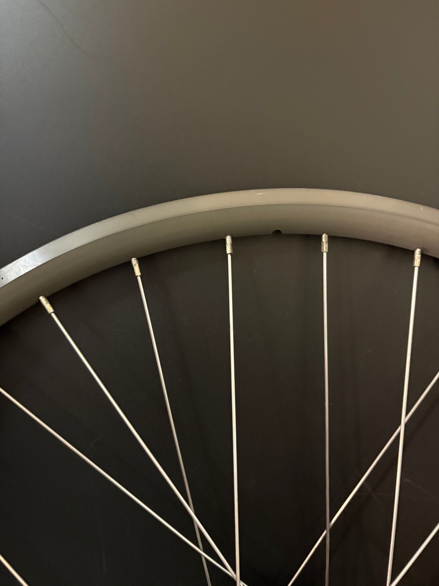H Plus Son Archetype / Phil Wood Rear Wheel 32h