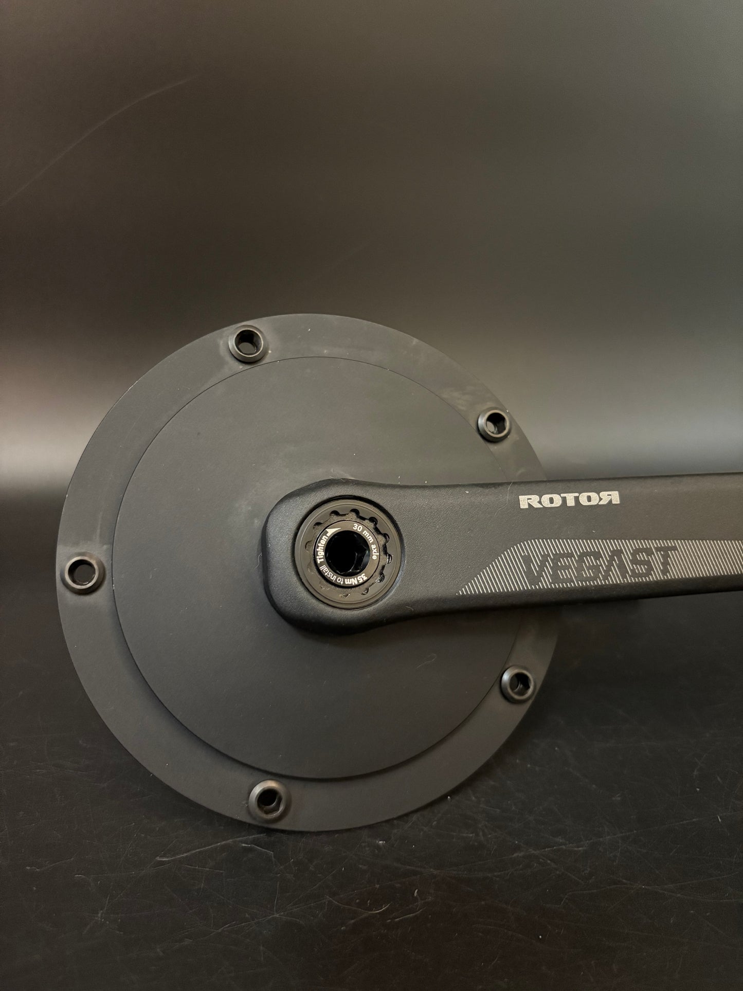 Rotor Vegast Cranks Black 170mm