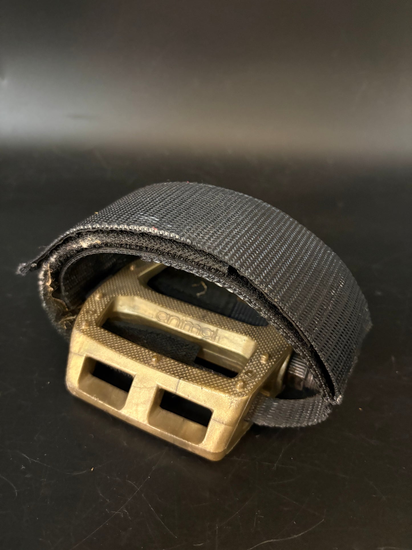 Animal Gold / Unbranded Straps Pedal Setup