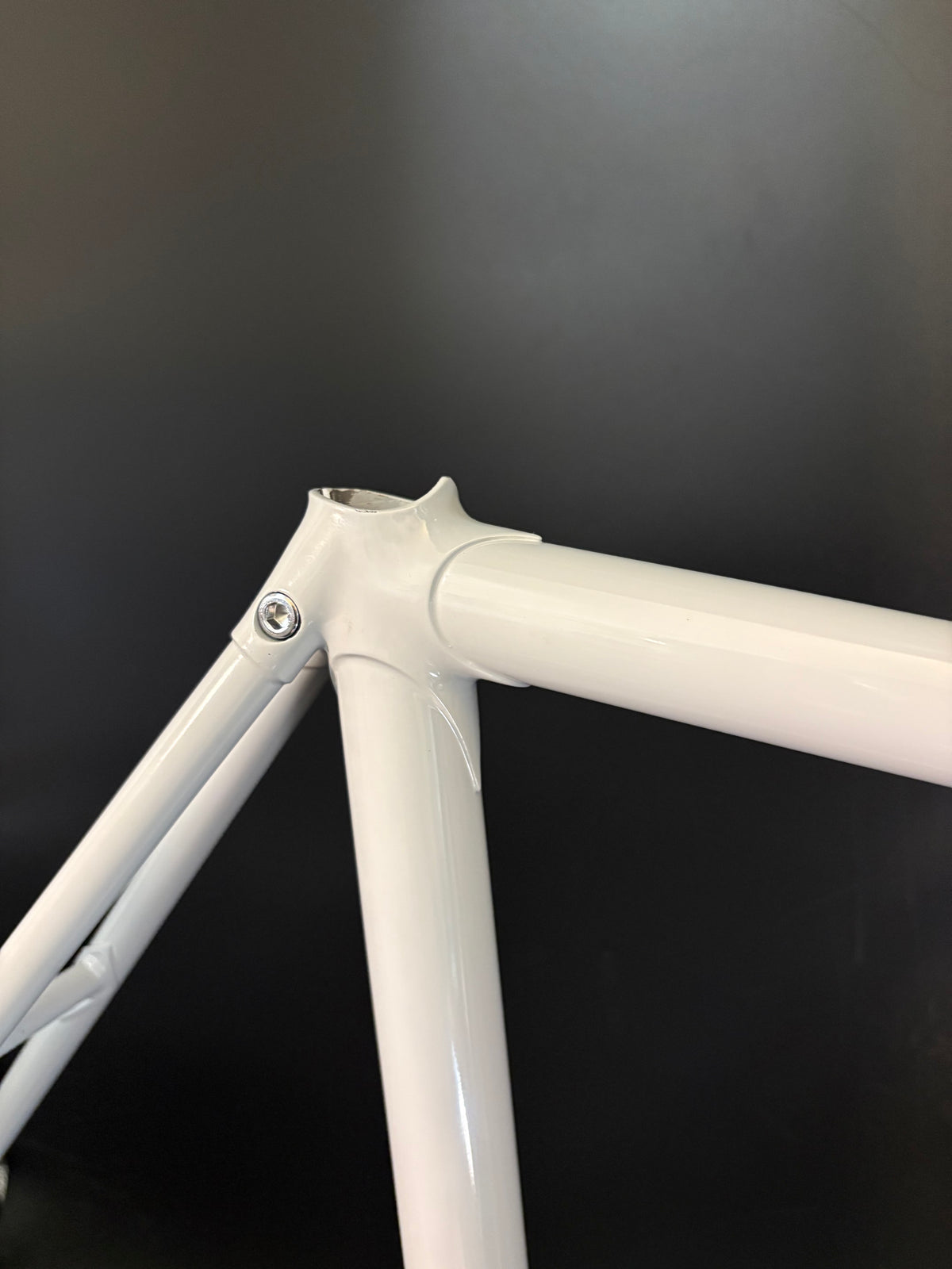 Panasonic NJS Frameset Grey 54cm