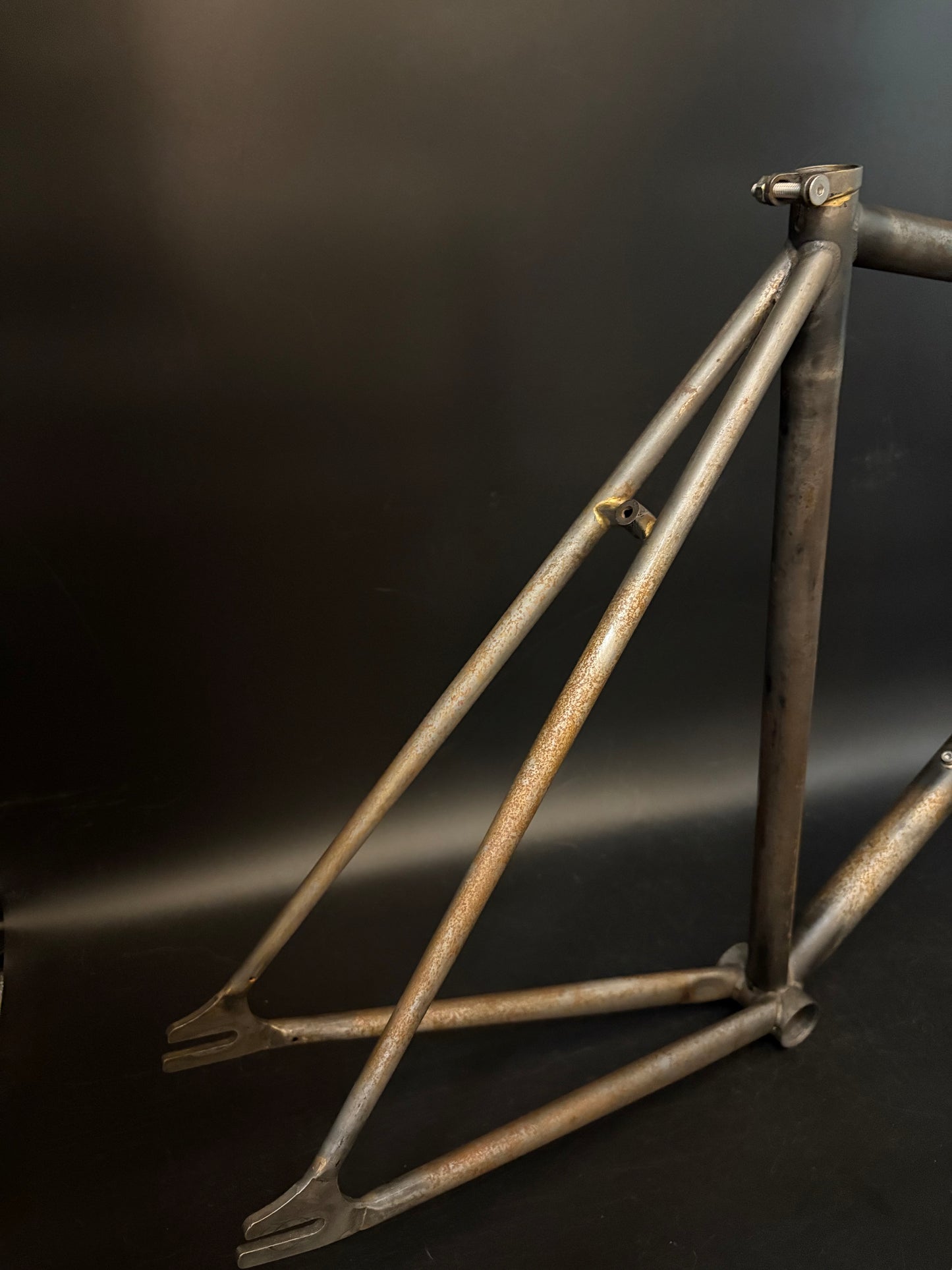 Soma Rush Frameset Raw 55cm