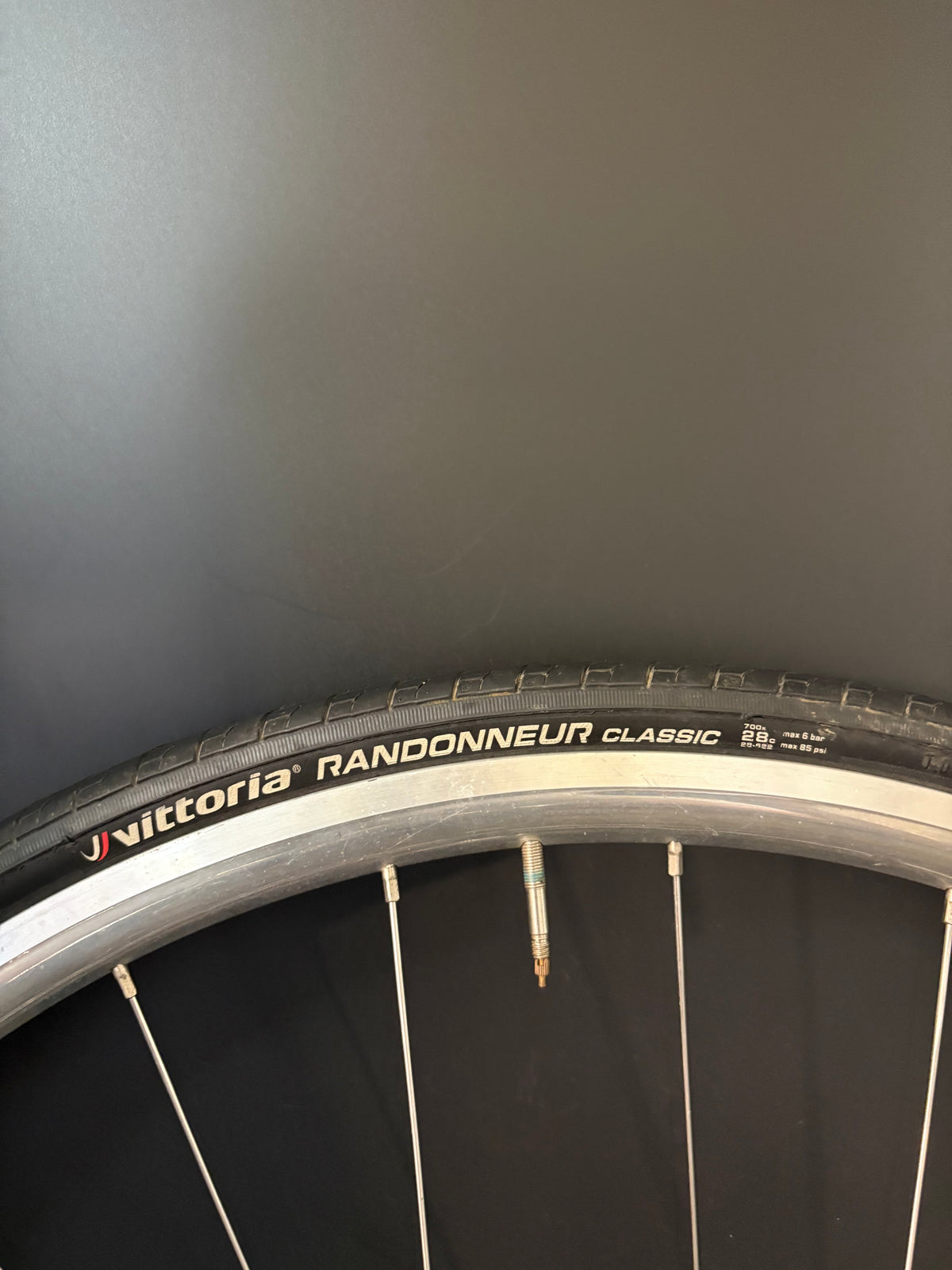 H Plus Son Archetype Silver / DT Swiss Wheelset 20/24h