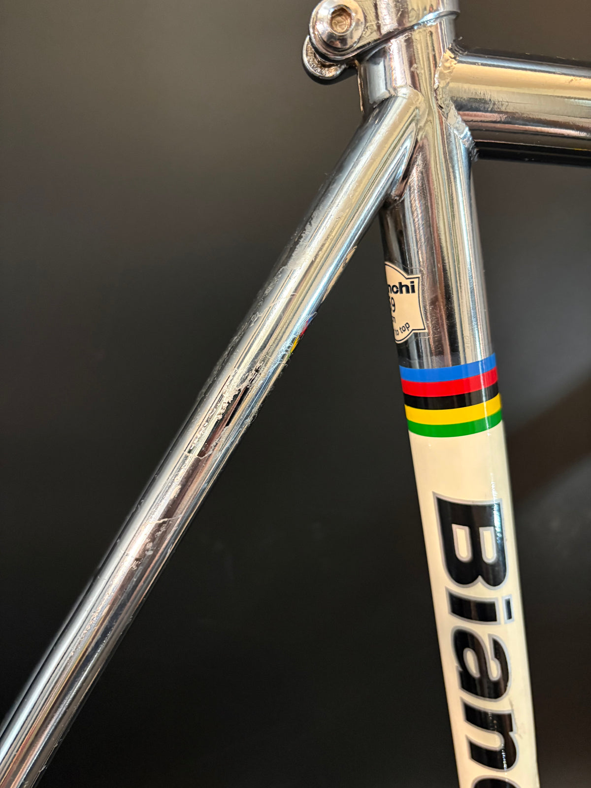 Bianchi Pista Frameset Chrome 59cm
