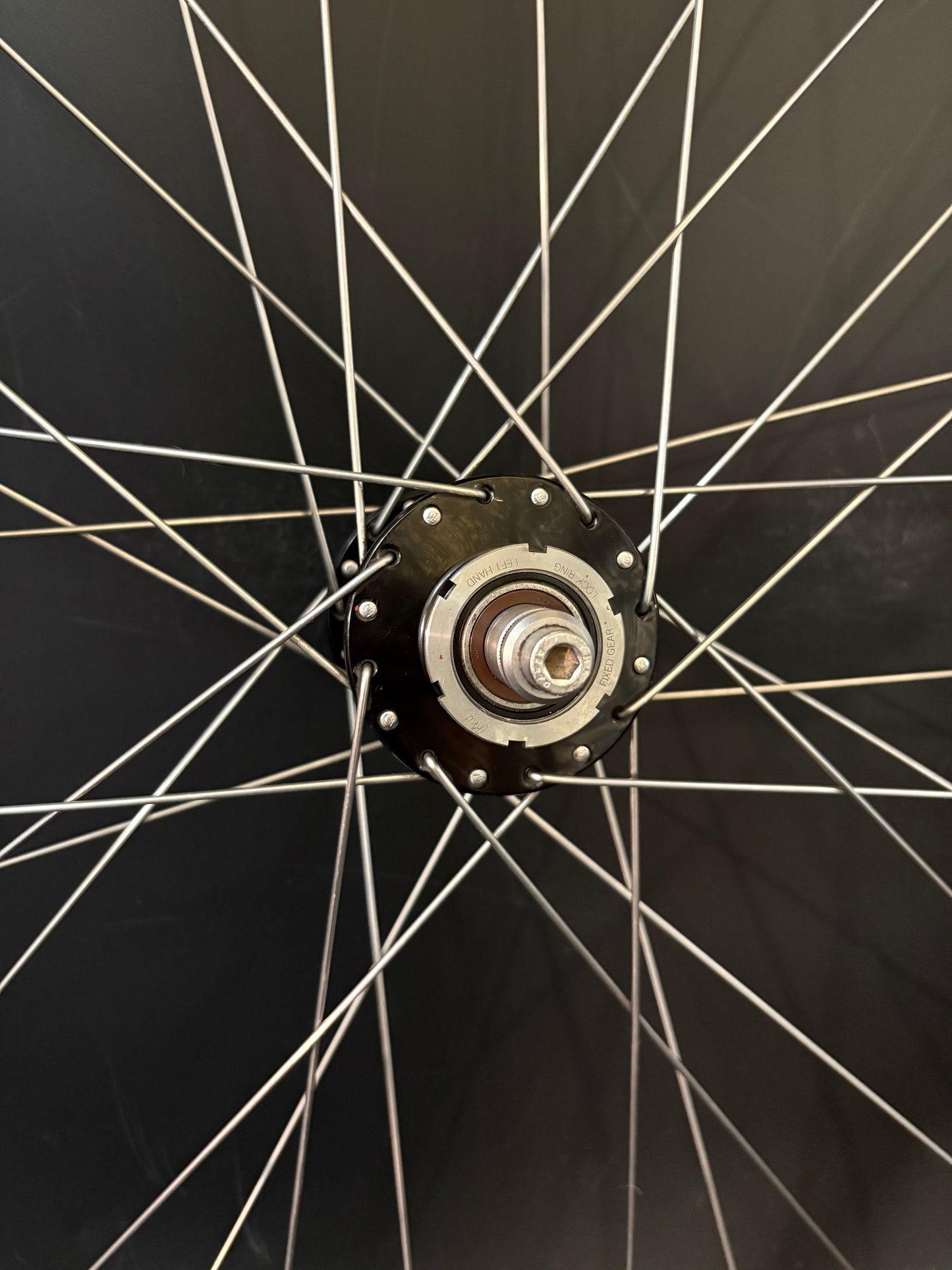 H Plus Son Archetype / Phil Wood Rear Wheel 32h