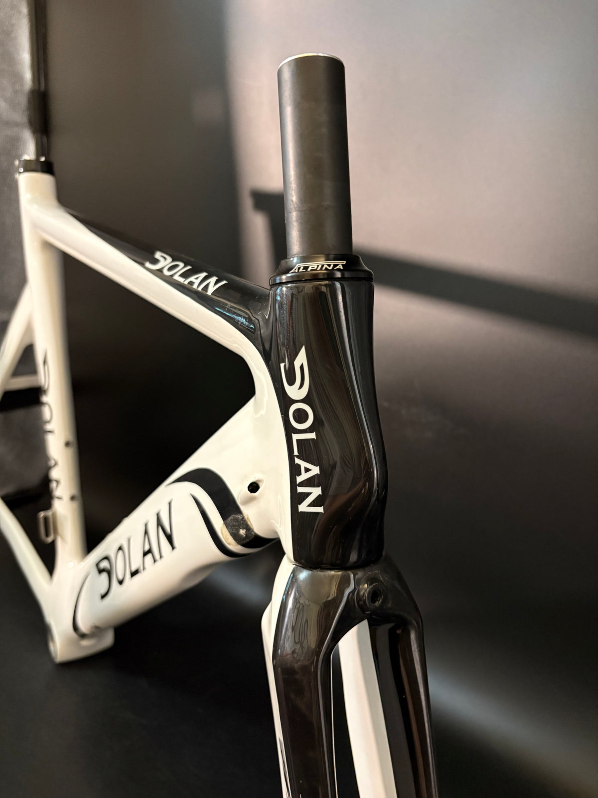 Dolan Time Trial Frameset Carbon 56cm