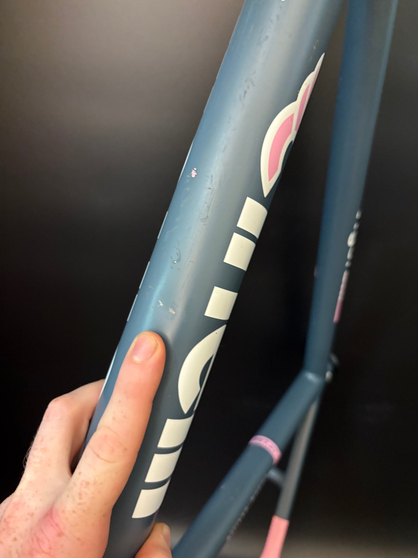 Cinelli Vigorelli Frameset Vigorosa 54cm