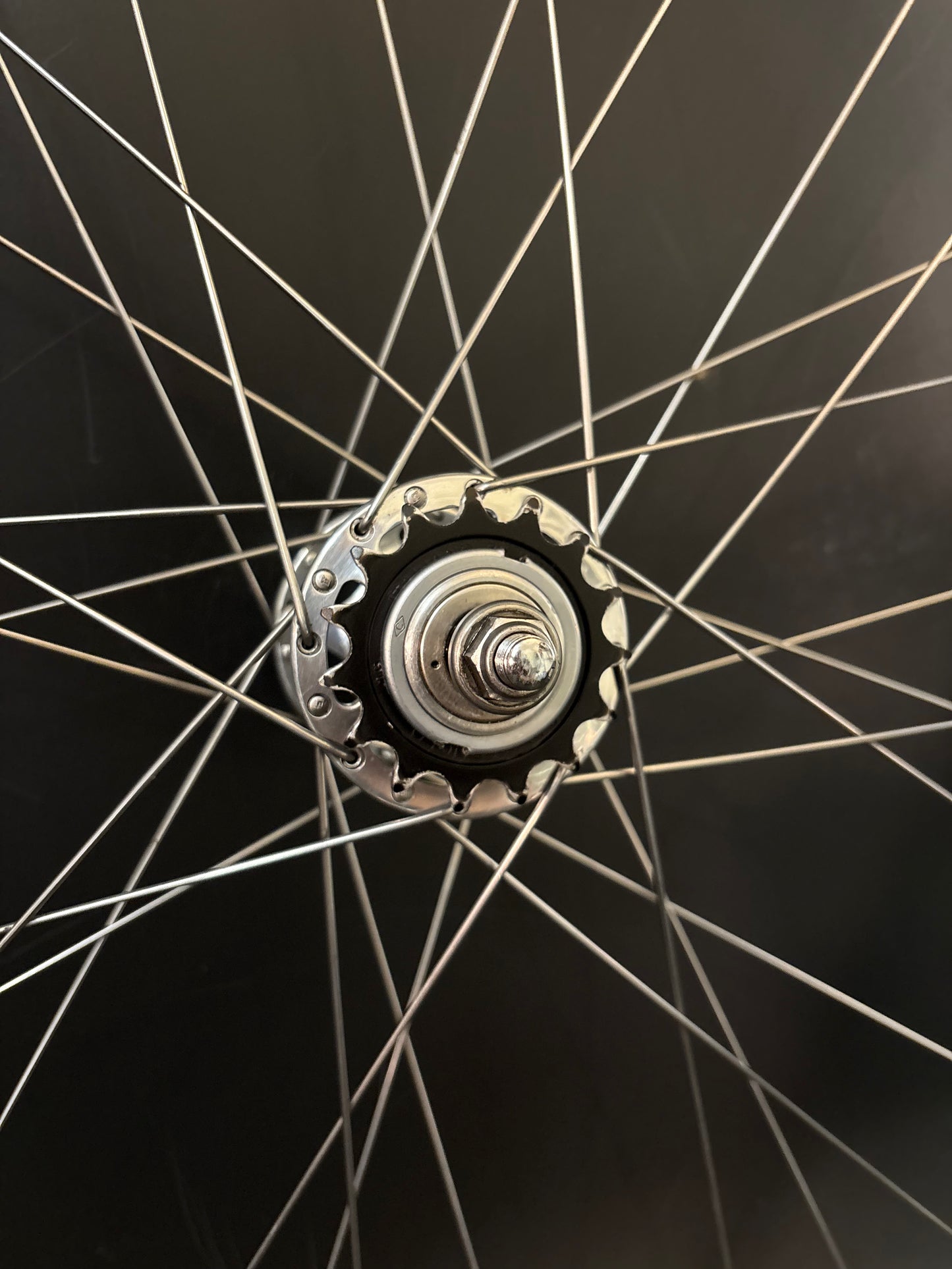 Mavic Open Pro / Campagnolo Sheriff Star Wheelset Silver 32h #2