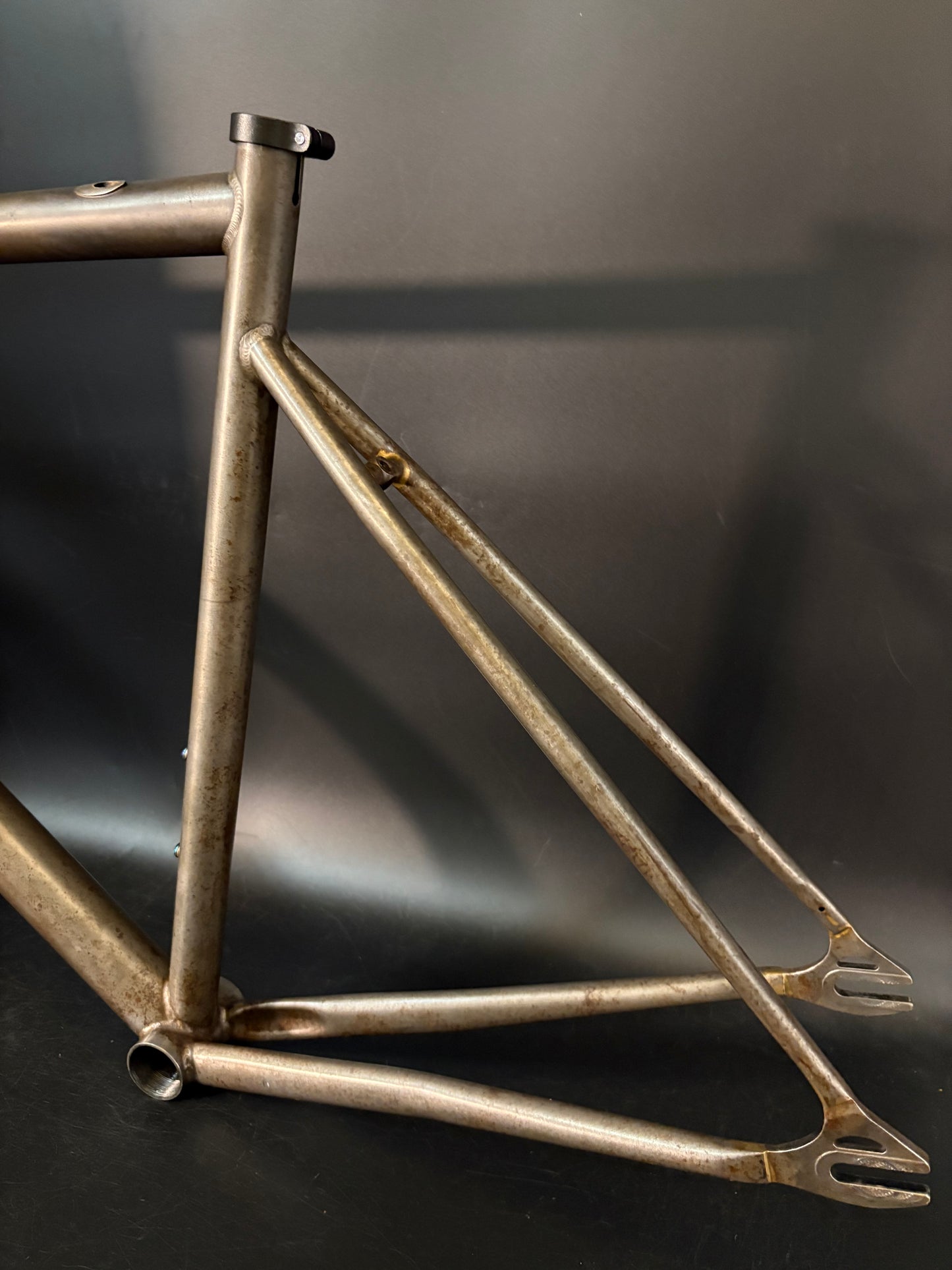 Affinity x Terry B Prototype Frameset Raw M
