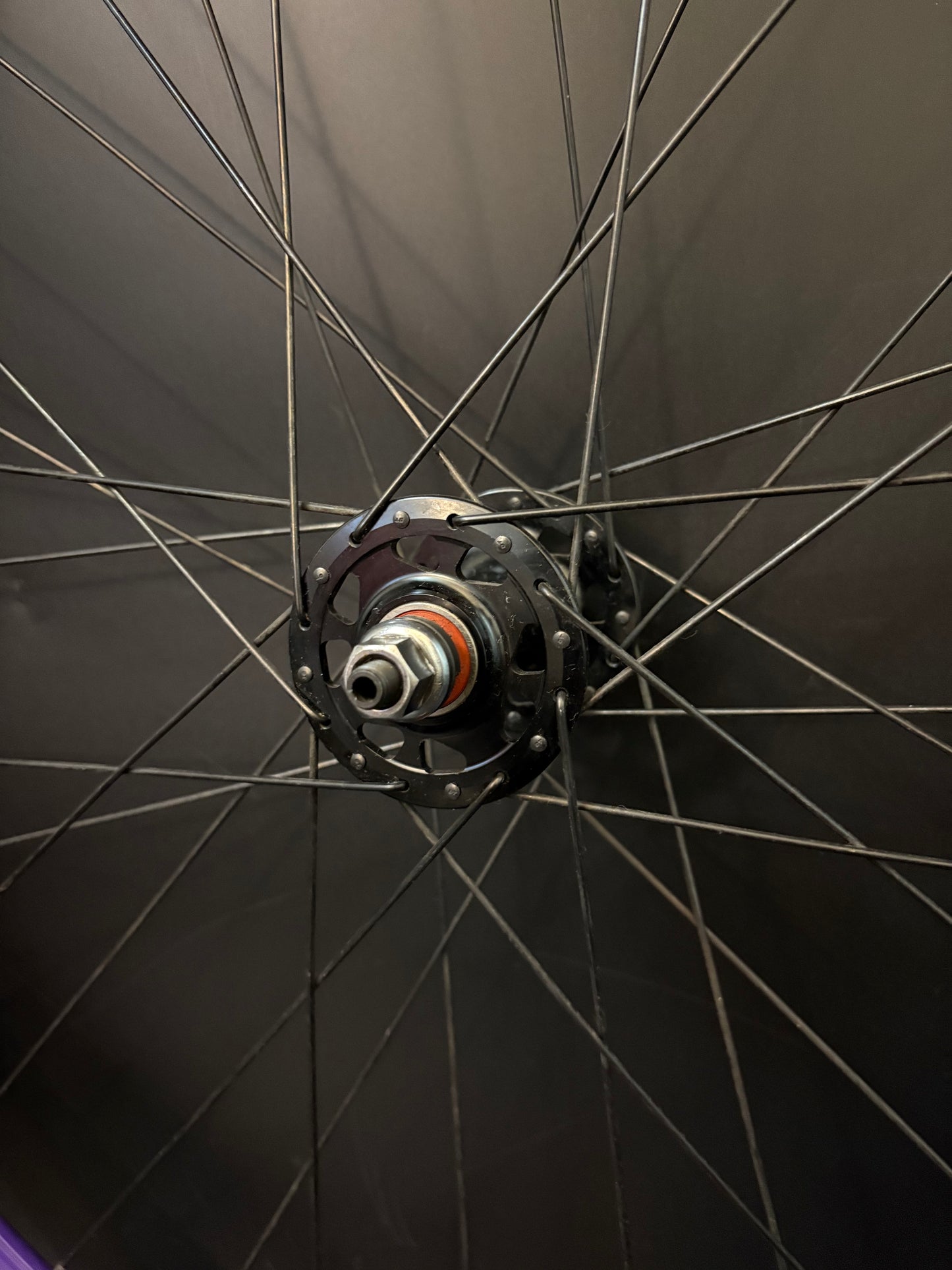 Velocity Deep V Purple / Origin 8 Wheelset 32h