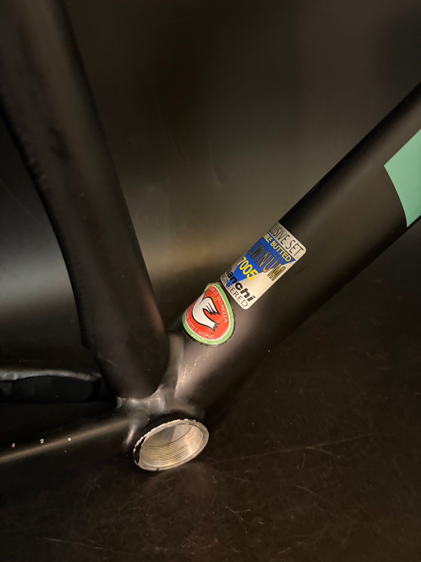 CRACKED Bianchi Pista Concept 2003 Frameset Black 55cm