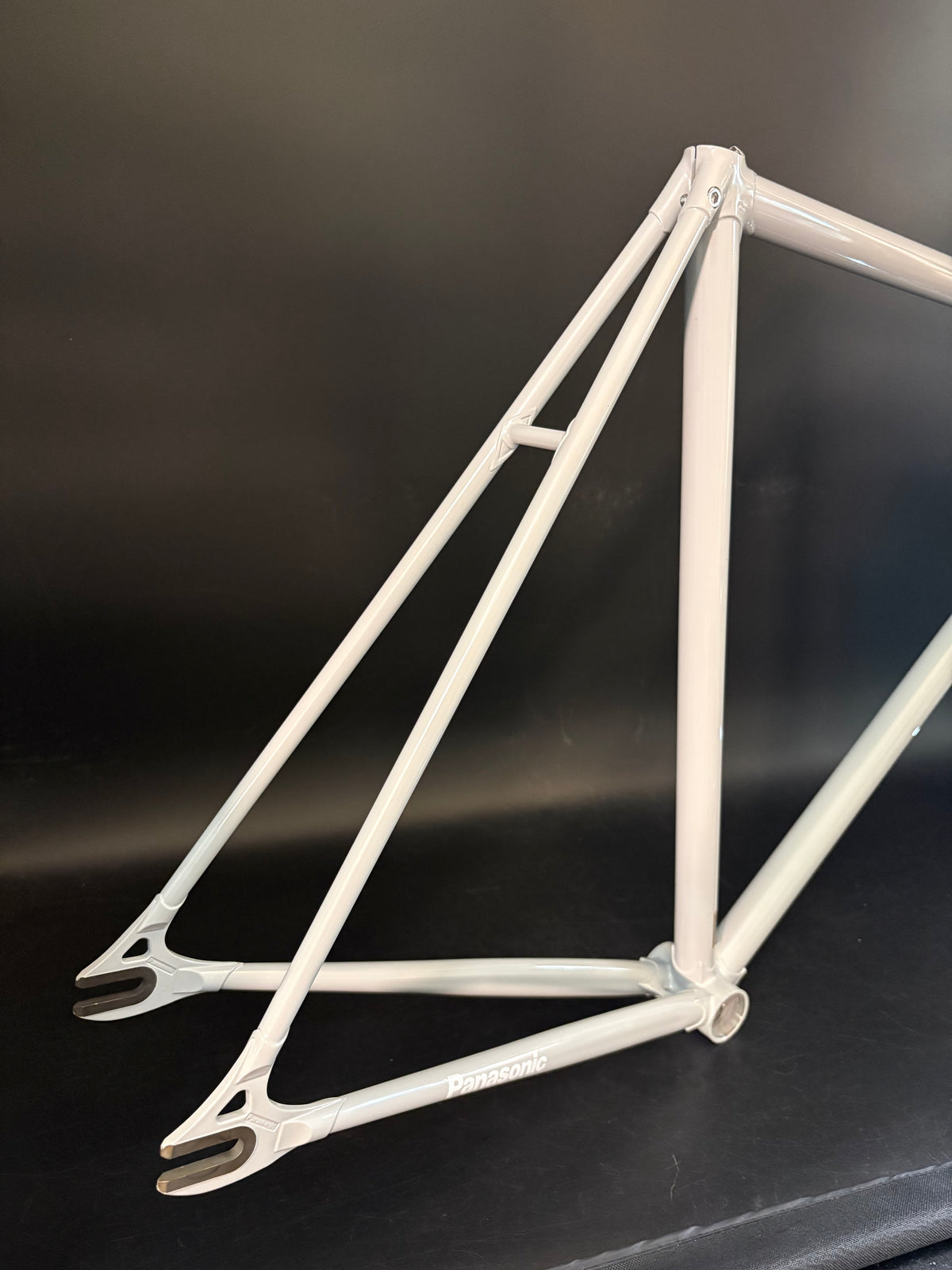 Panasonic NJS Frameset Grey 54cm