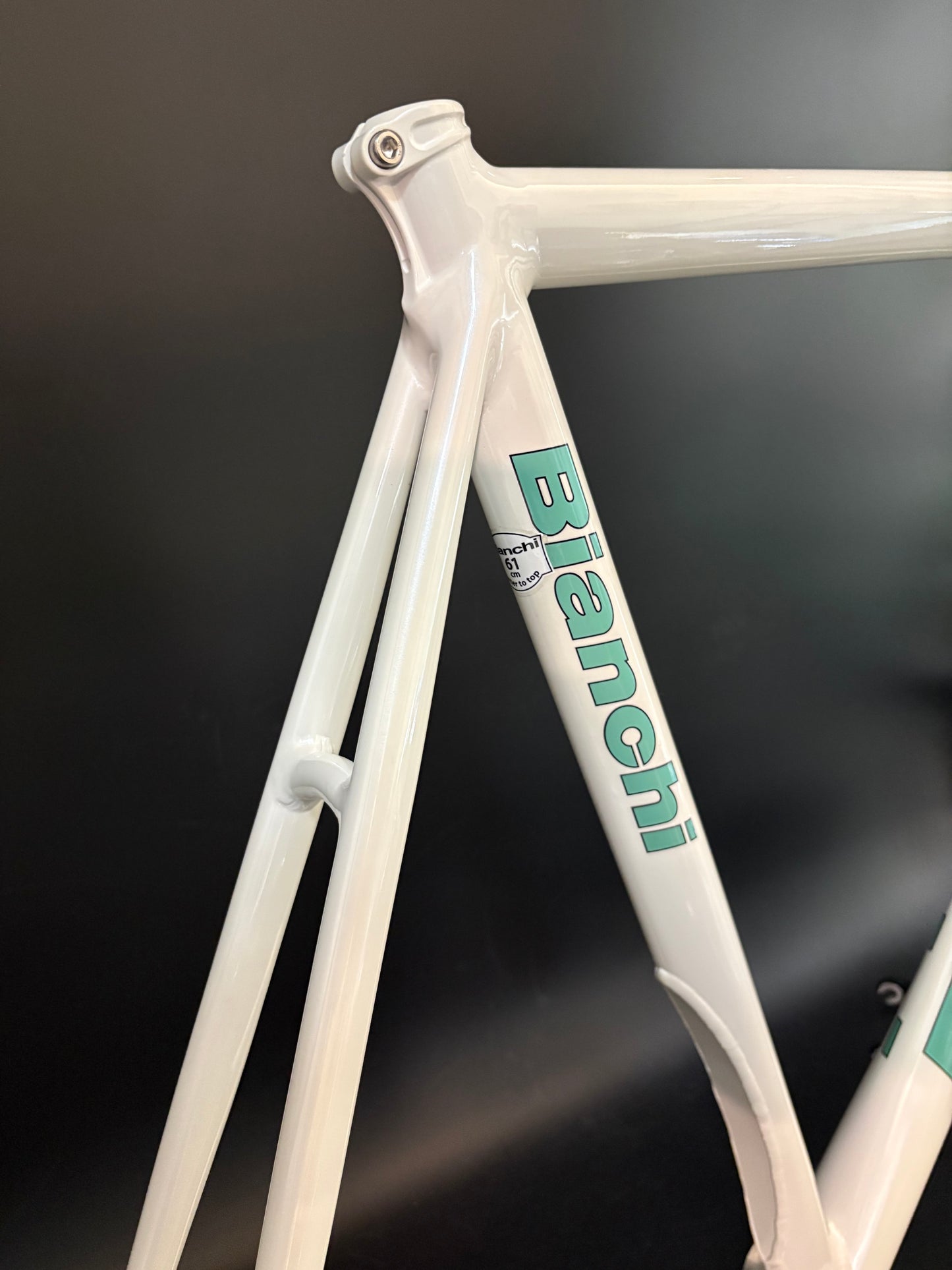 NOS Bianchi Pista Concept 2008 Frameset White 61cm