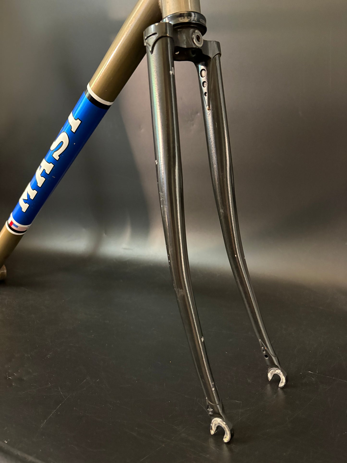Masi Speciale Fixed LTD Frameset Raw 56cm