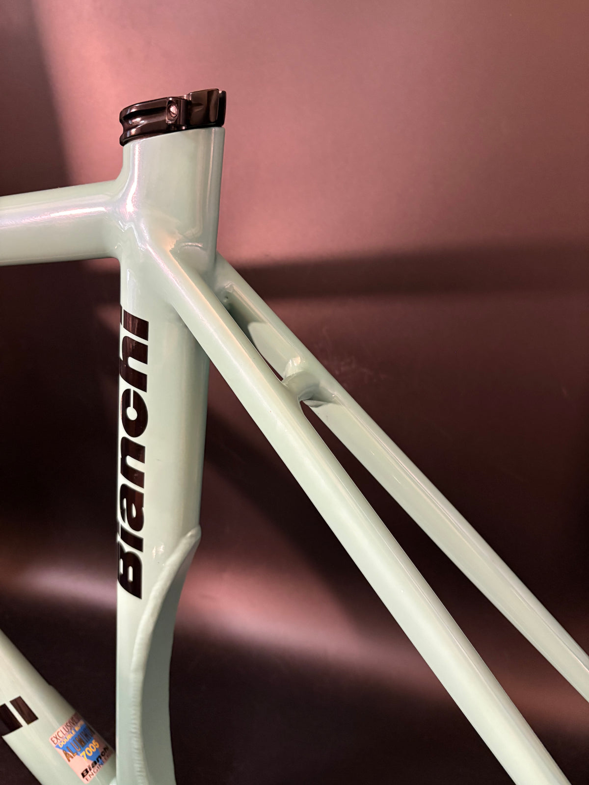 Bianchi Super Pista Frameset Celeste 51cm