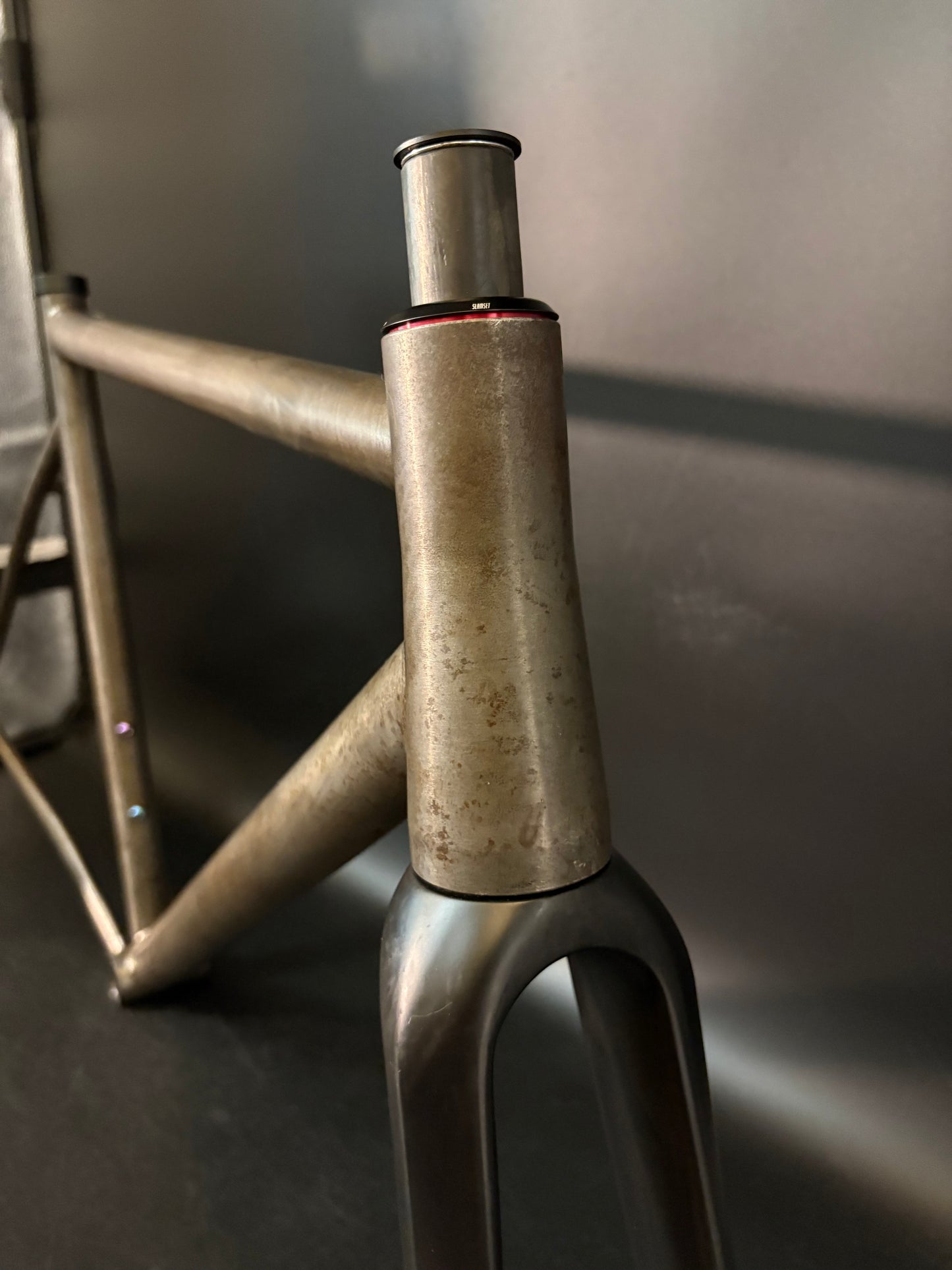 Affinity x Terry B Prototype Frameset Raw M