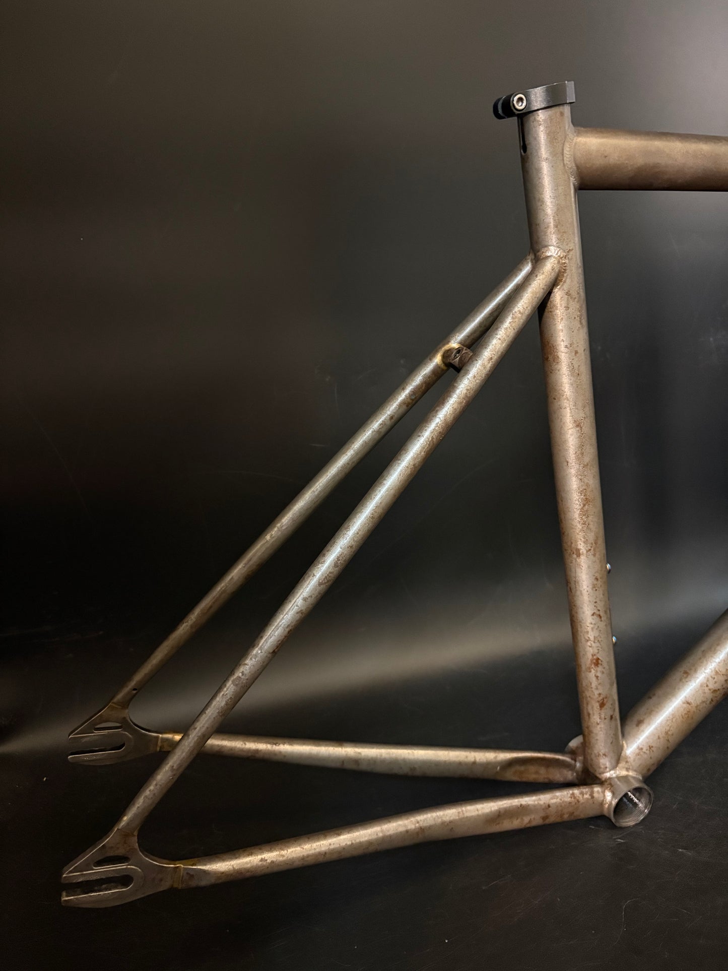 Affinity x Terry B Prototype Frameset Raw M