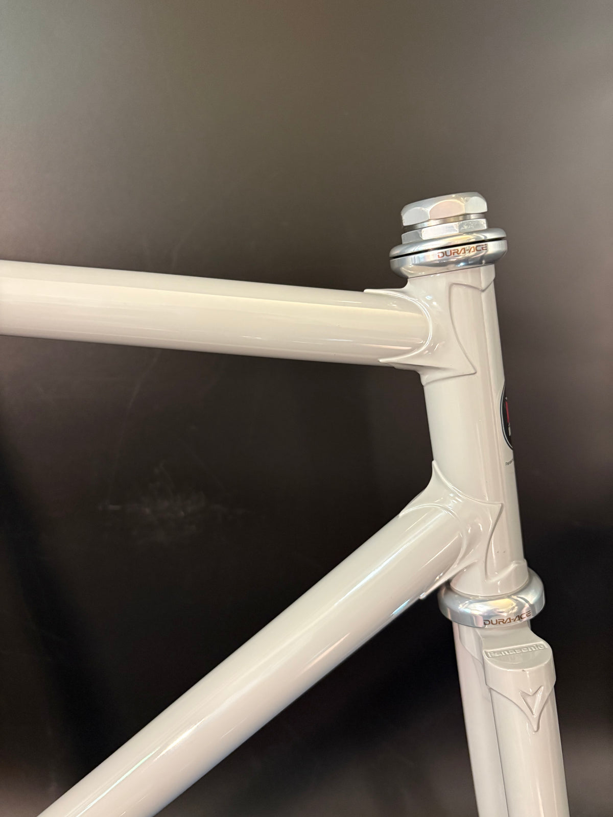 Panasonic NJS Frameset Grey 54cm