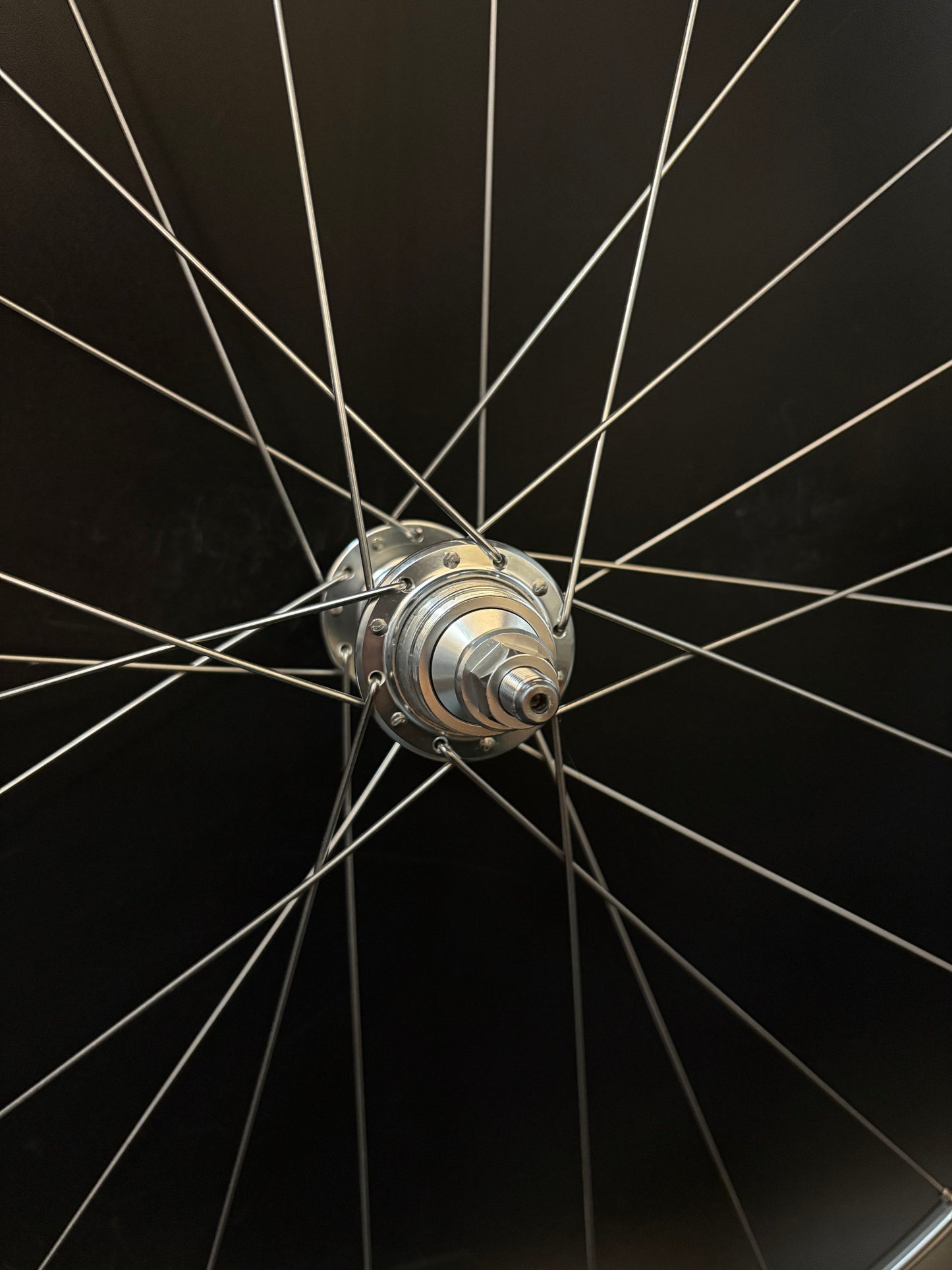 Blue Lug Gran Compe Track Wheelset Silver 20/24h