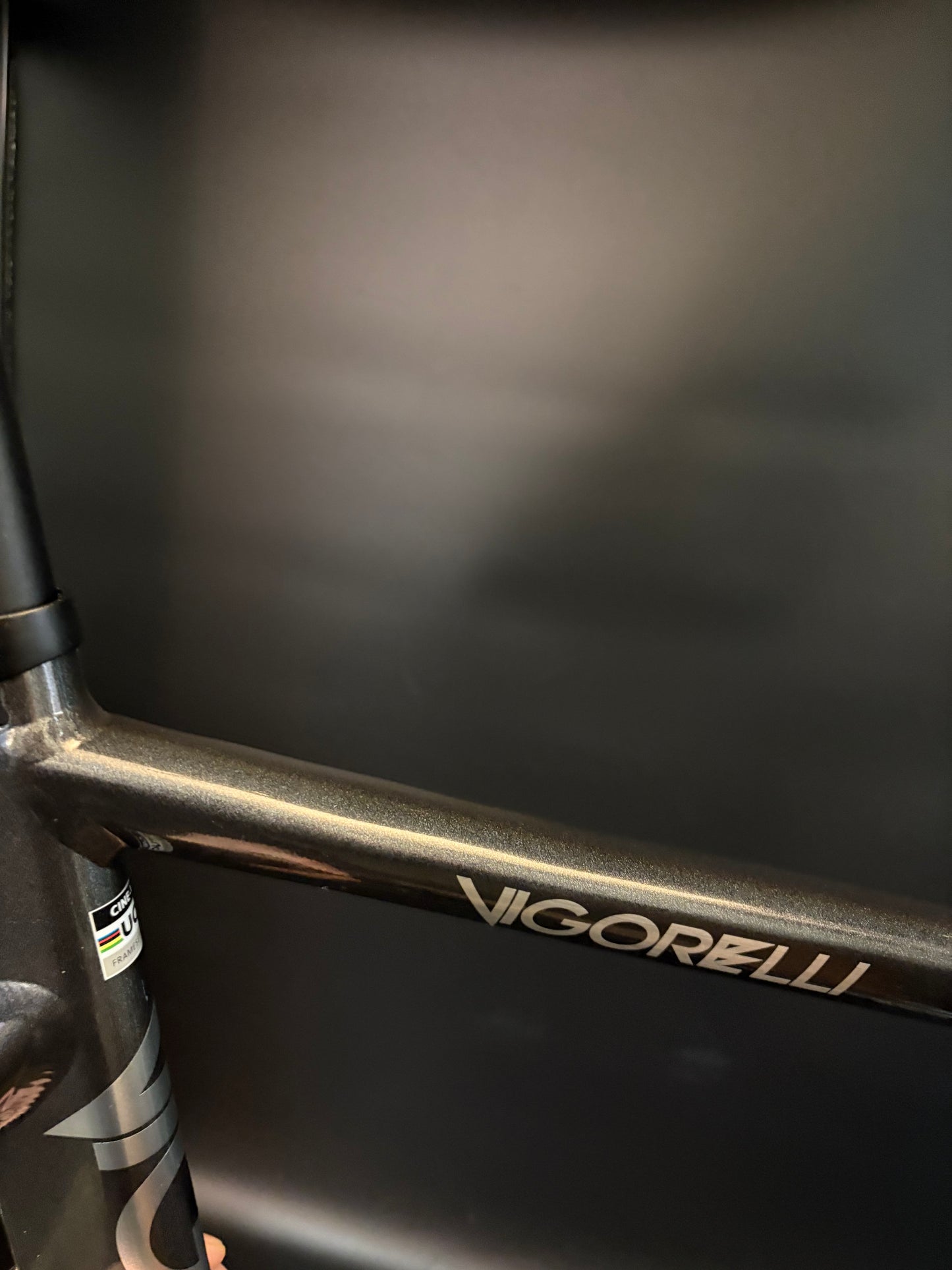 Cinelli Vigorelli 2024 Frameset Grey Rainbow Sparkle L