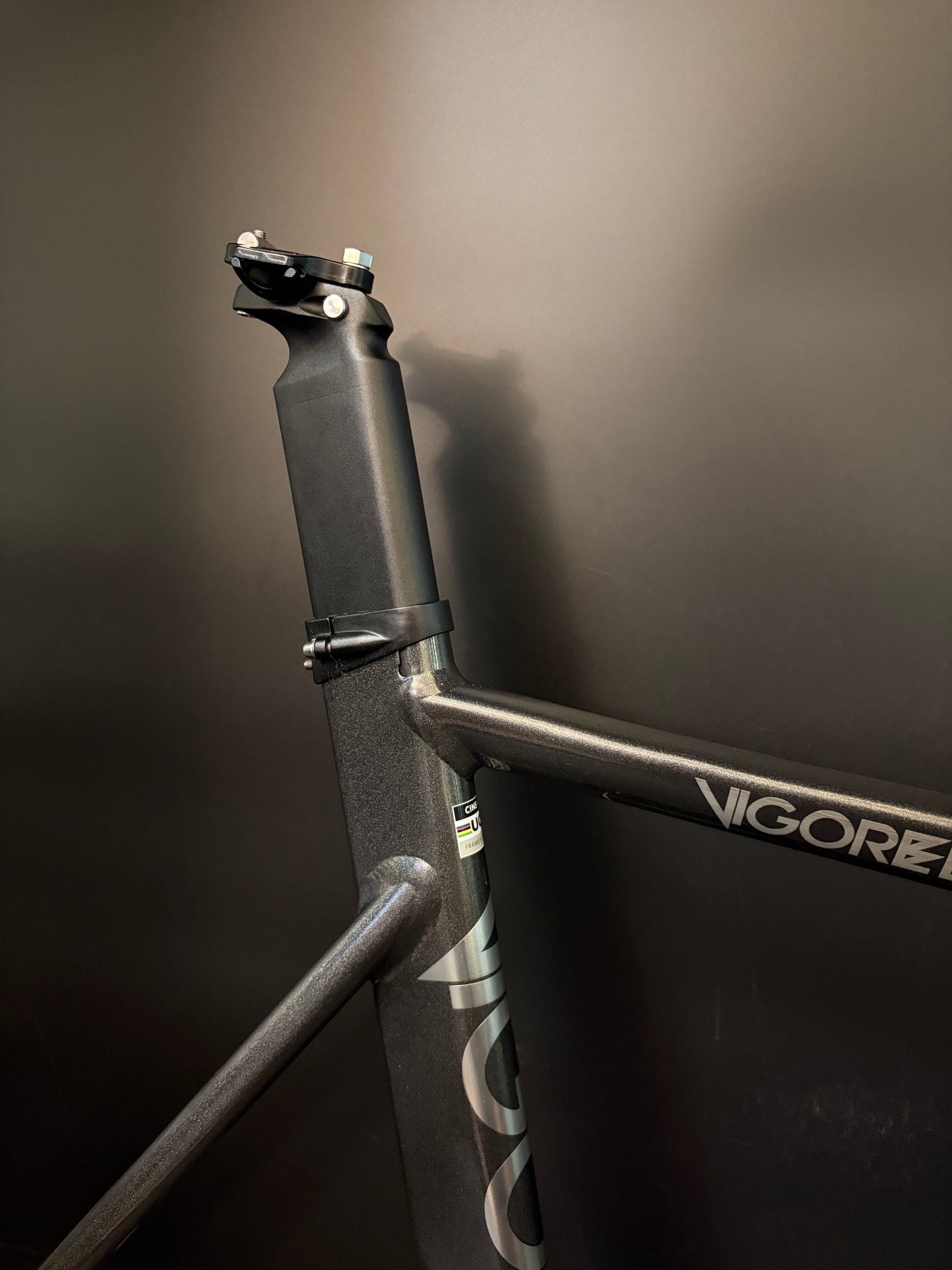 Cinelli Vigorelli 2024 Frameset Grey Rainbow Sparkle L