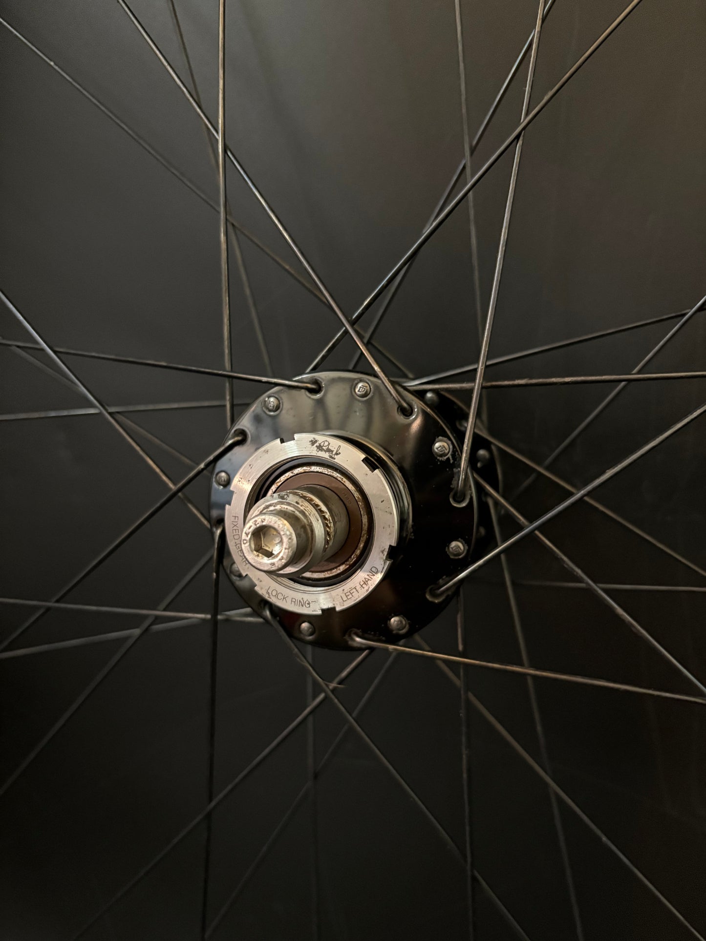 H Plus Son Hydra / Phil Wood HF Wheelset Black 32h #2