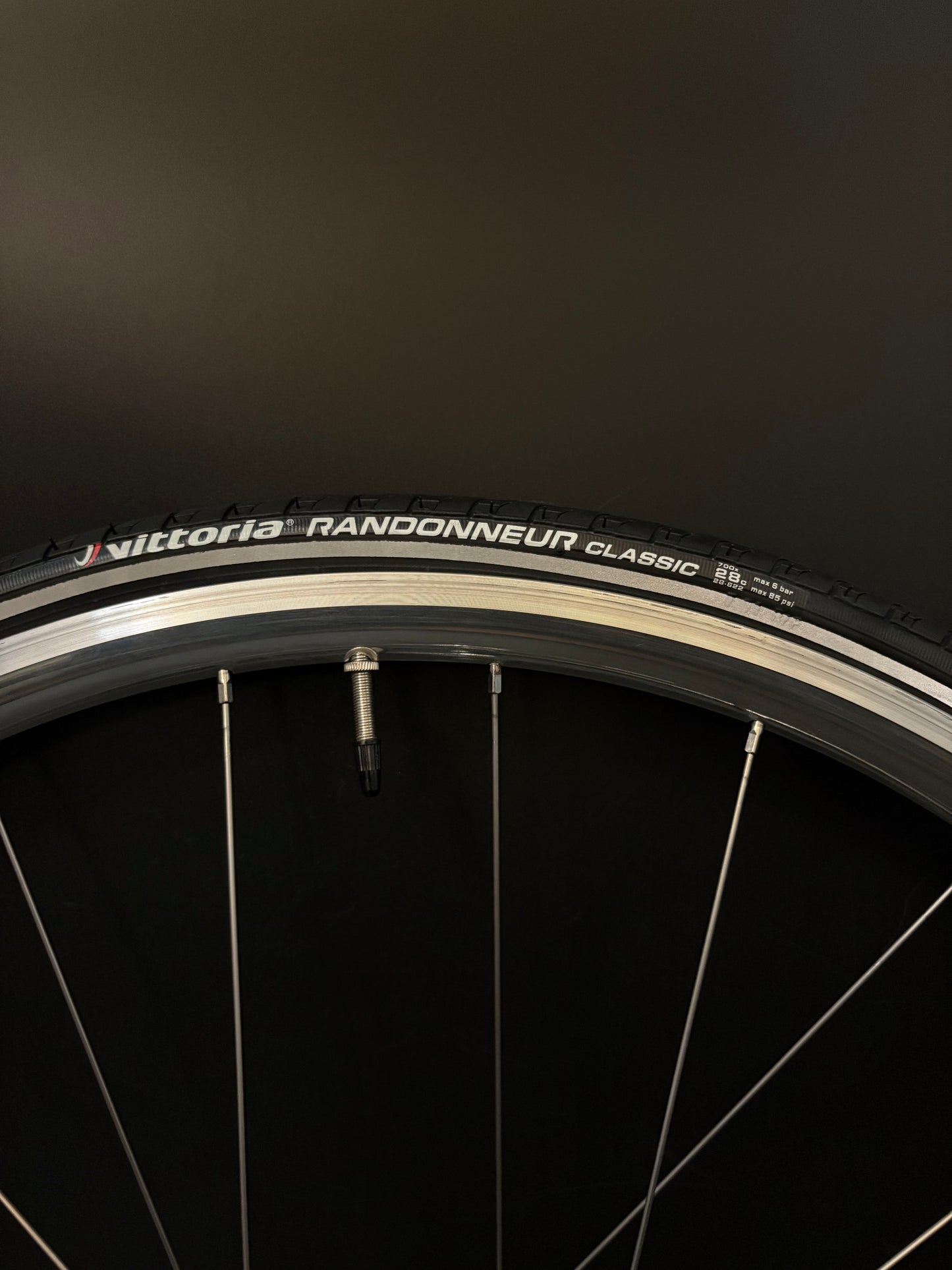 H Plus Son Archetype Silver / DT Swiss Wheelset 20/24h