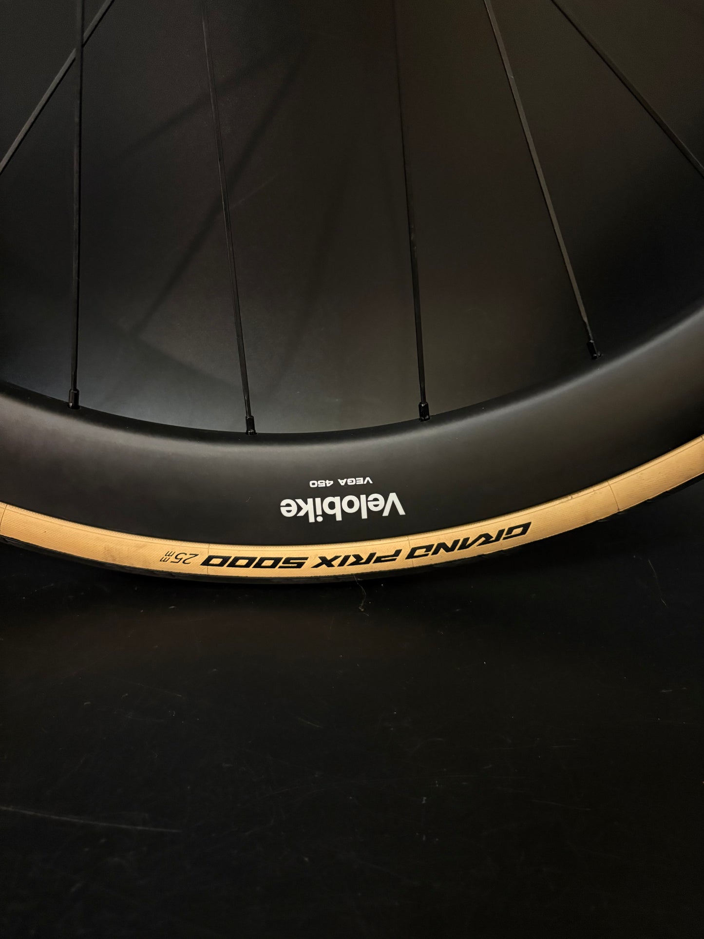 Velobike Vegast 450 Carbon Clincher / DT Swiss Wheelset 20/24h