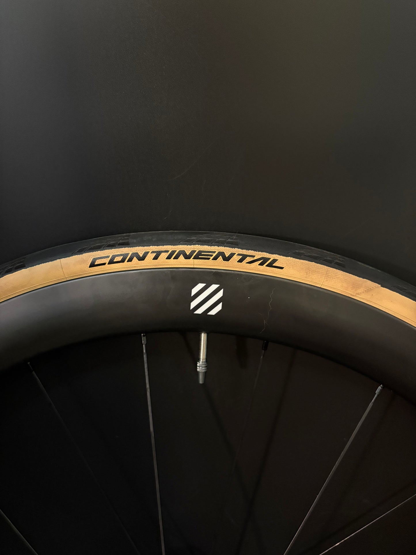 Velobike Vegast 450 Carbon Clincher / DT Swiss Wheelset 20/24h
