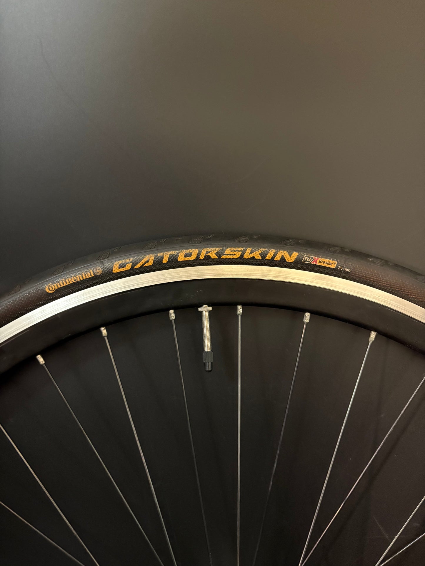 Deep V Machined Black / Surly Wheelset 36h
