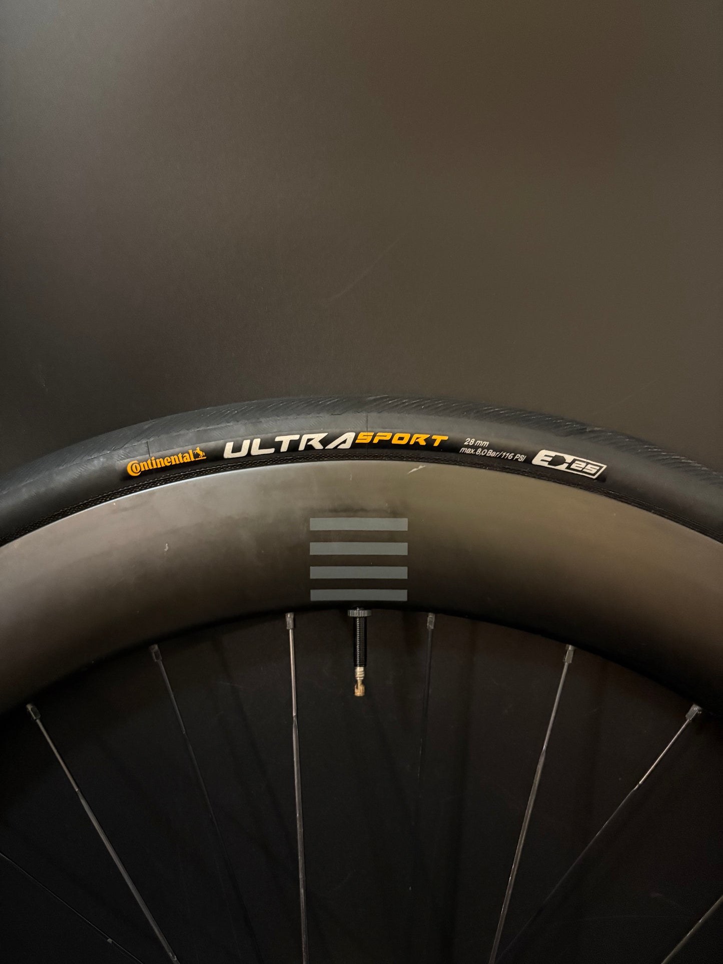 Honey Wheel Co Carbon Clincher 60mm / Phil Wood x Mash SF Rasta LF Wheelset 28h