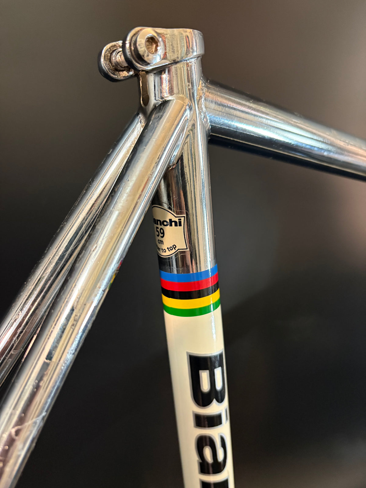Bianchi Pista Frameset Chrome 59cm
