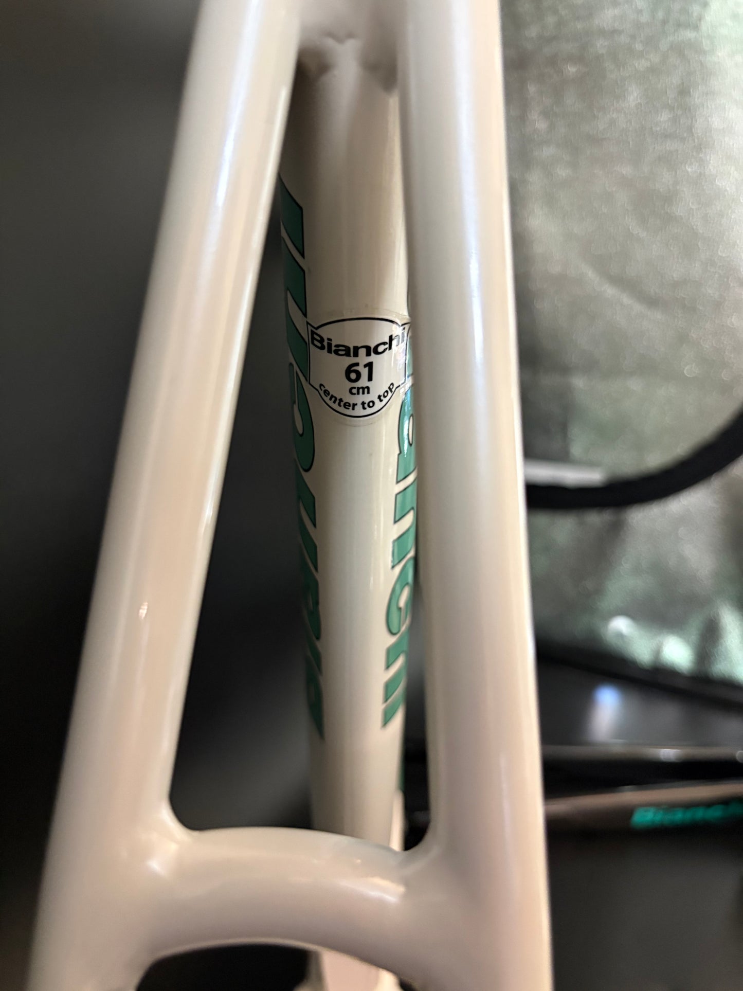 NOS Bianchi Pista Concept 2008 Frameset White 61cm