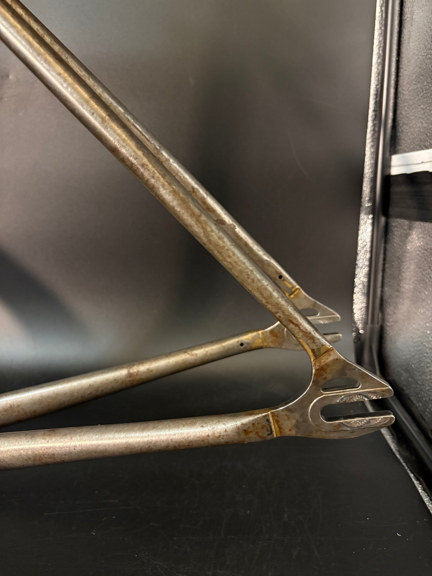 Affinity x Terry B Prototype Frameset Raw M