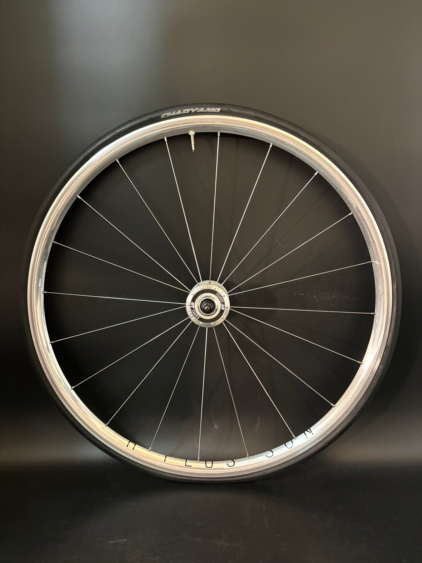 H Plus Son Archetype Silver / DT Swiss Wheelset 20/24h
