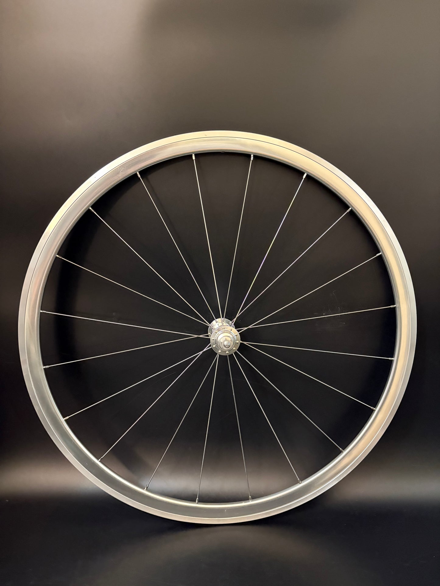 Blue Lug Gran Compe Track Wheelset Silver 20/24h