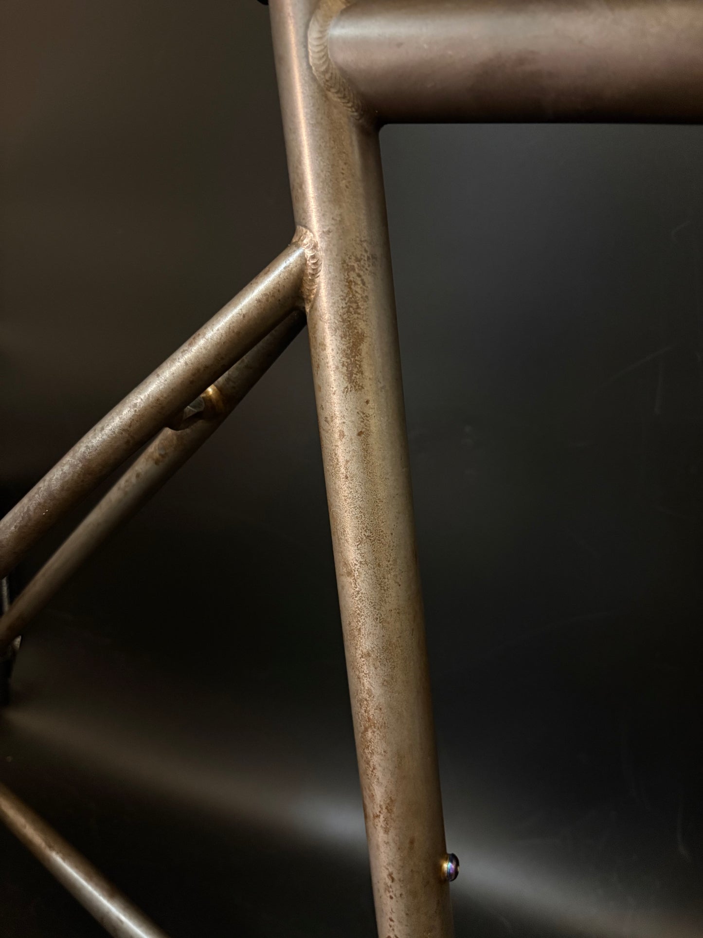 Affinity x Terry B Prototype Frameset Raw M