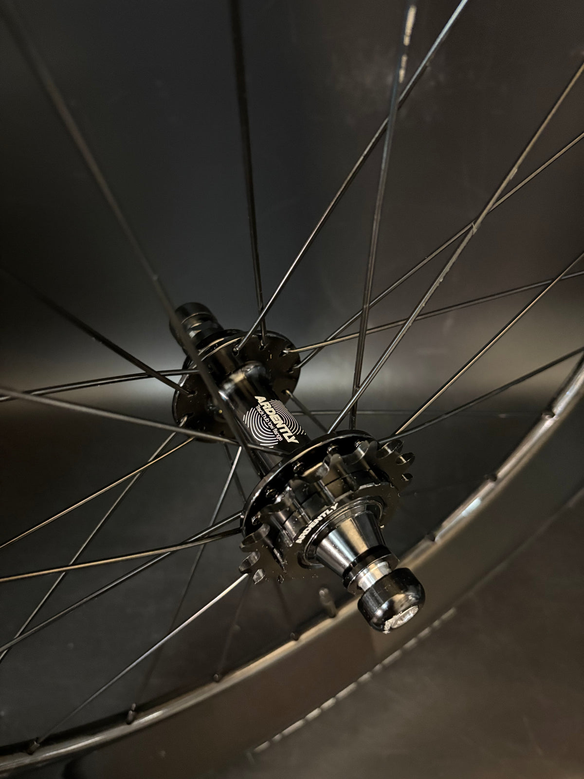 Ardently Heroic Wheelset 120mm Carbon Clincher 20/24h
