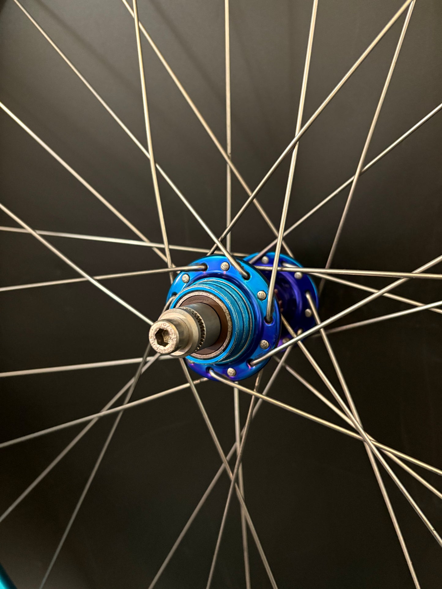 Velocity A23 Turquoise + Pink / Mash SF x Phil Wood Wheelset 28h